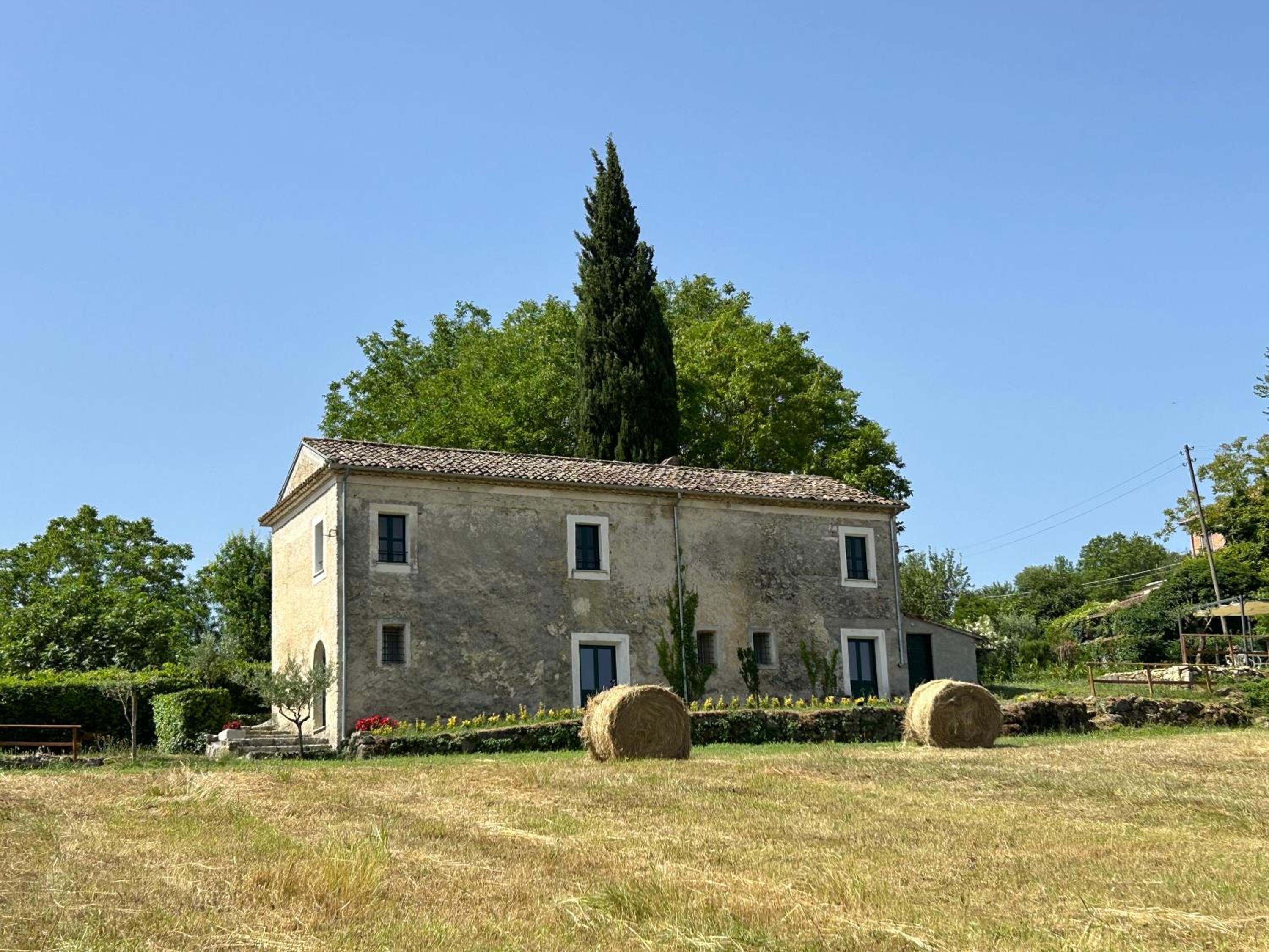 Photo 8