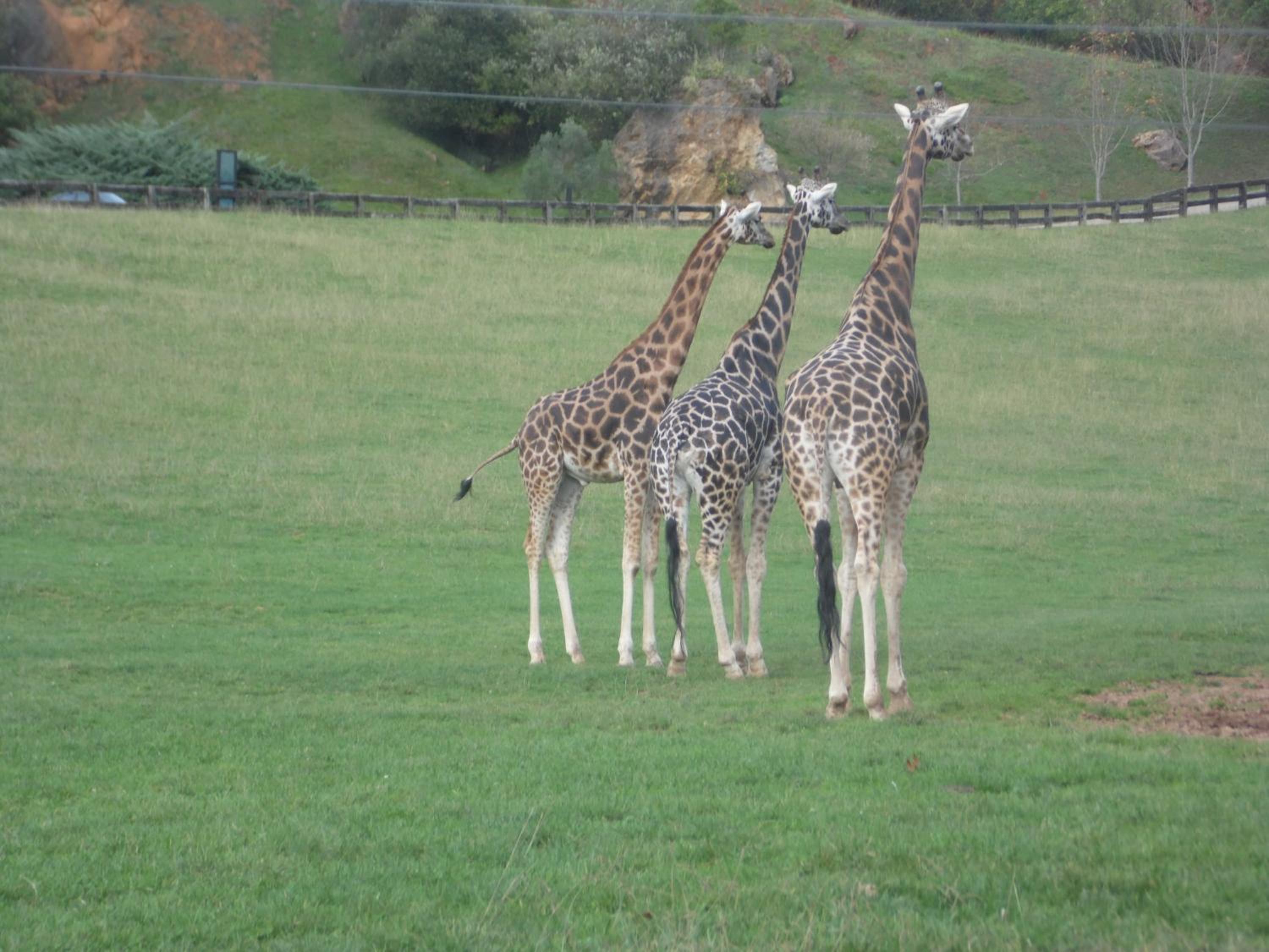 Casa Velarde - Property Image 57