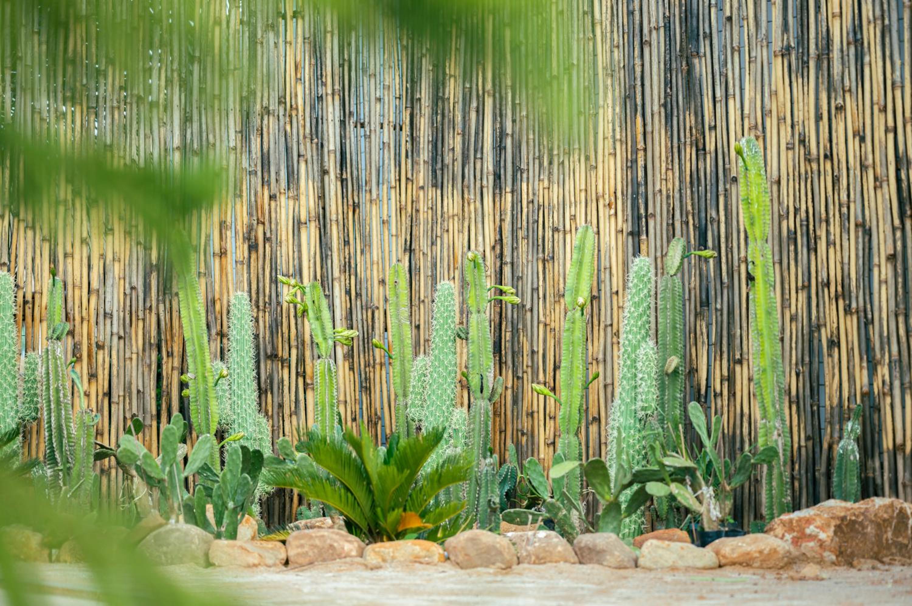 Nirk Kampot Boutique