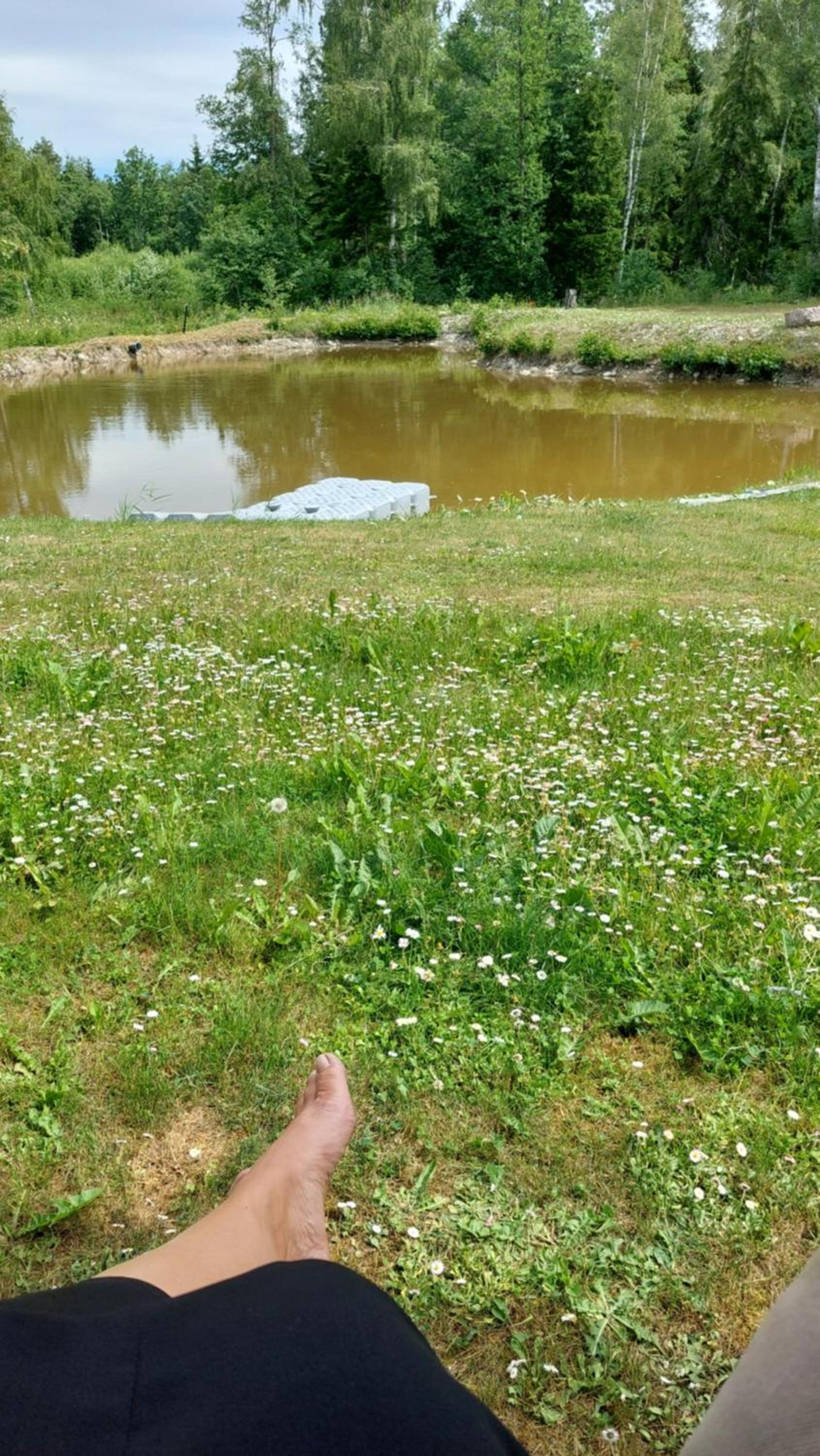 Kuuse metsamaja