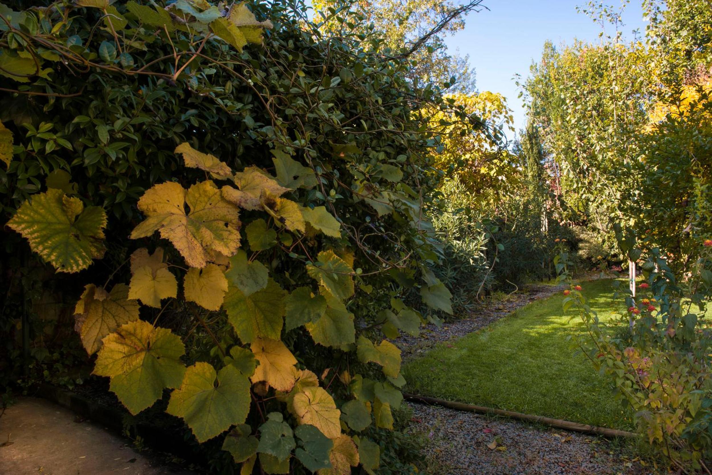Al Porto Di Lucca B&B