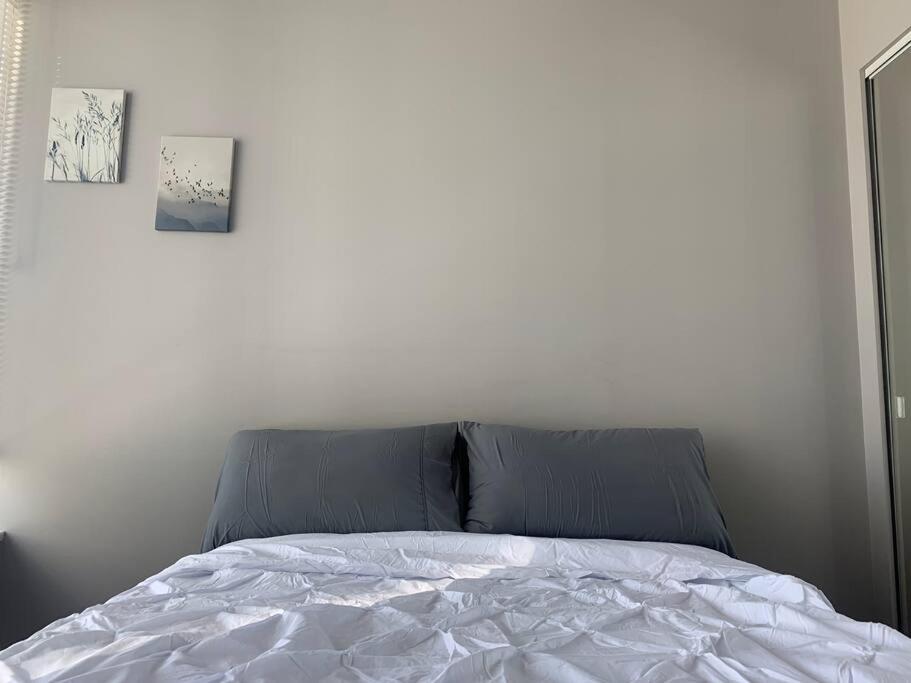 Modern spacious Apt plus Solarium and Den in Downtown Vancouver with Parking and Pool