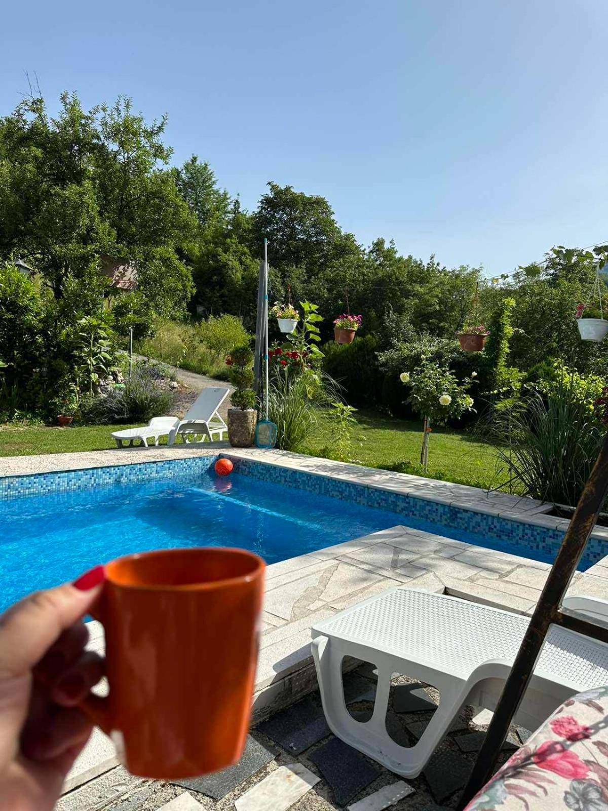 Guest House Queen