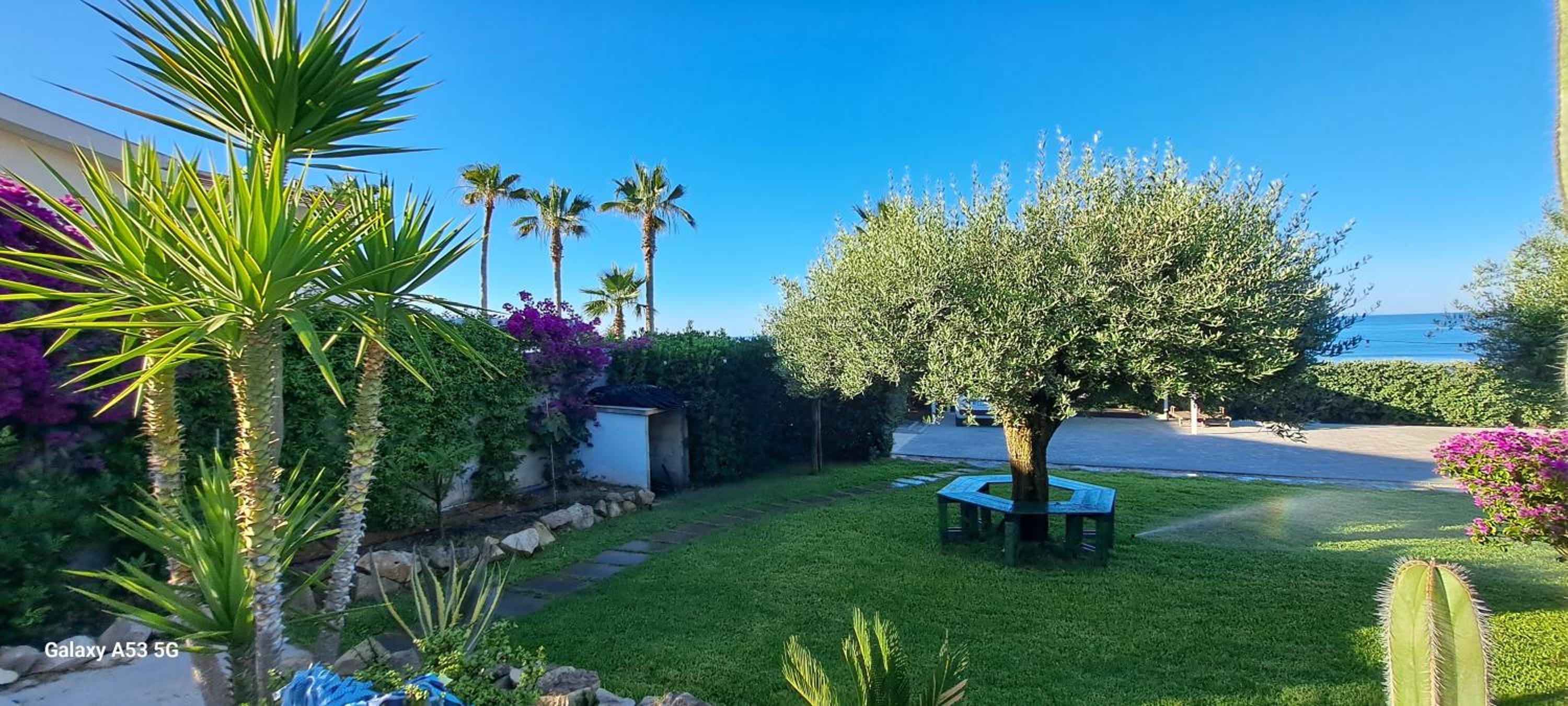 CasaSicula - Artemis House