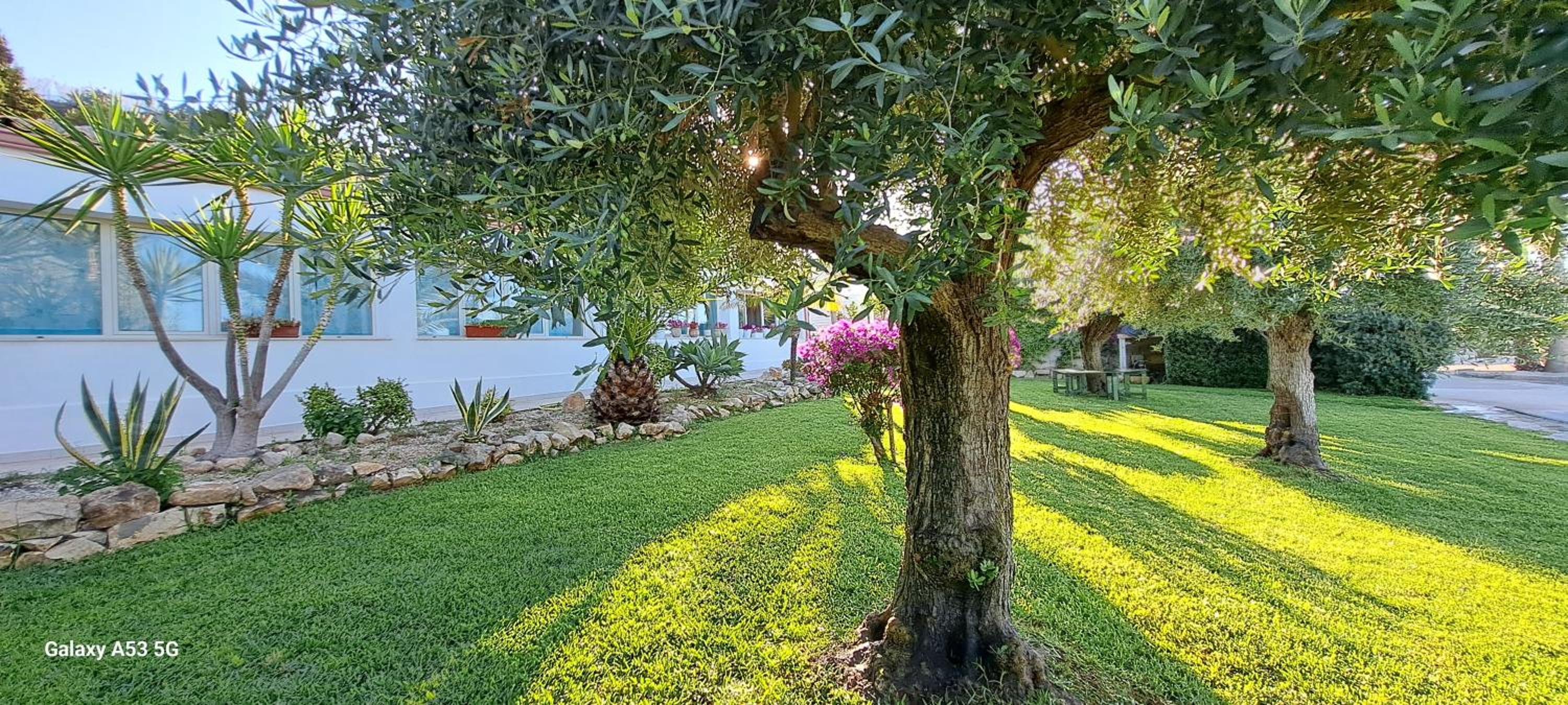CasaSicula - Artemis House