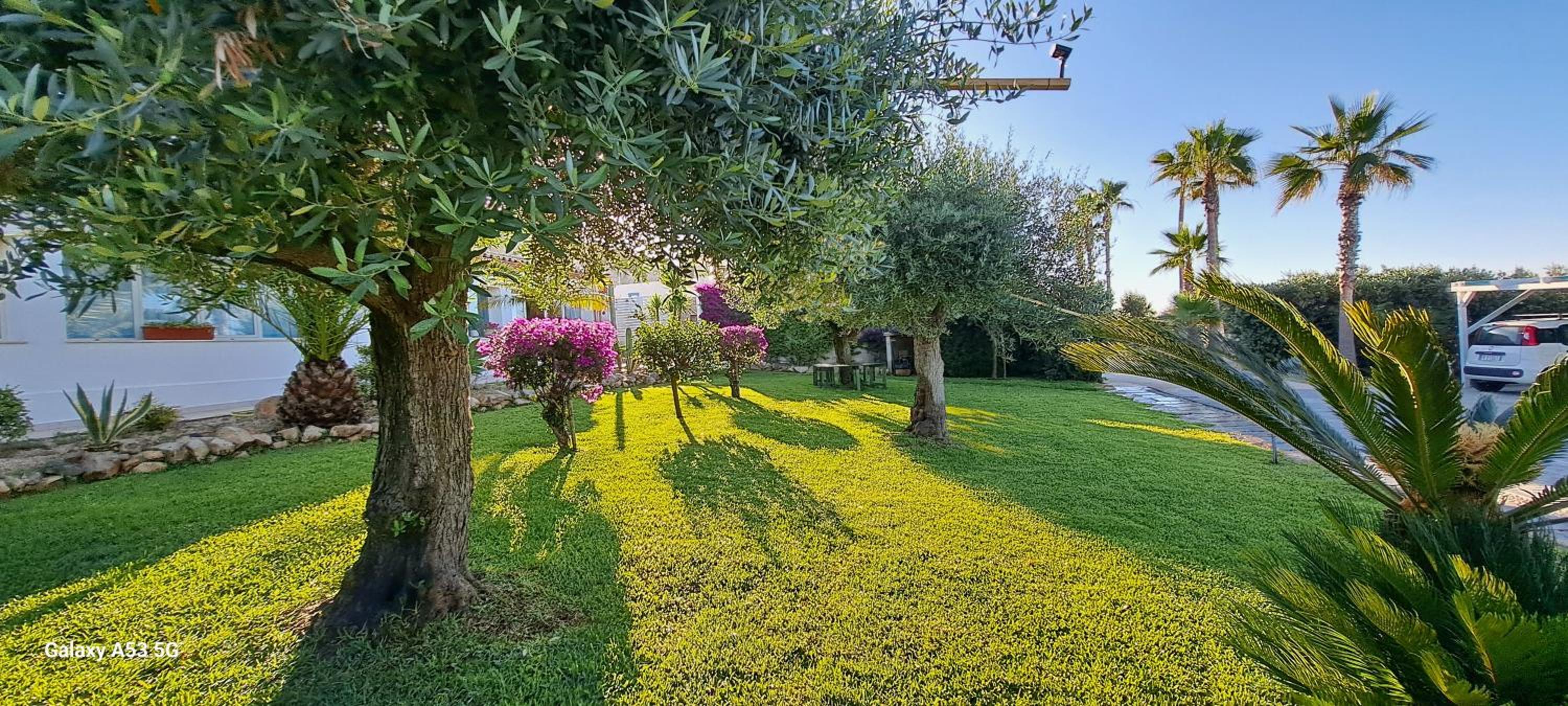 CasaSicula - Artemis House