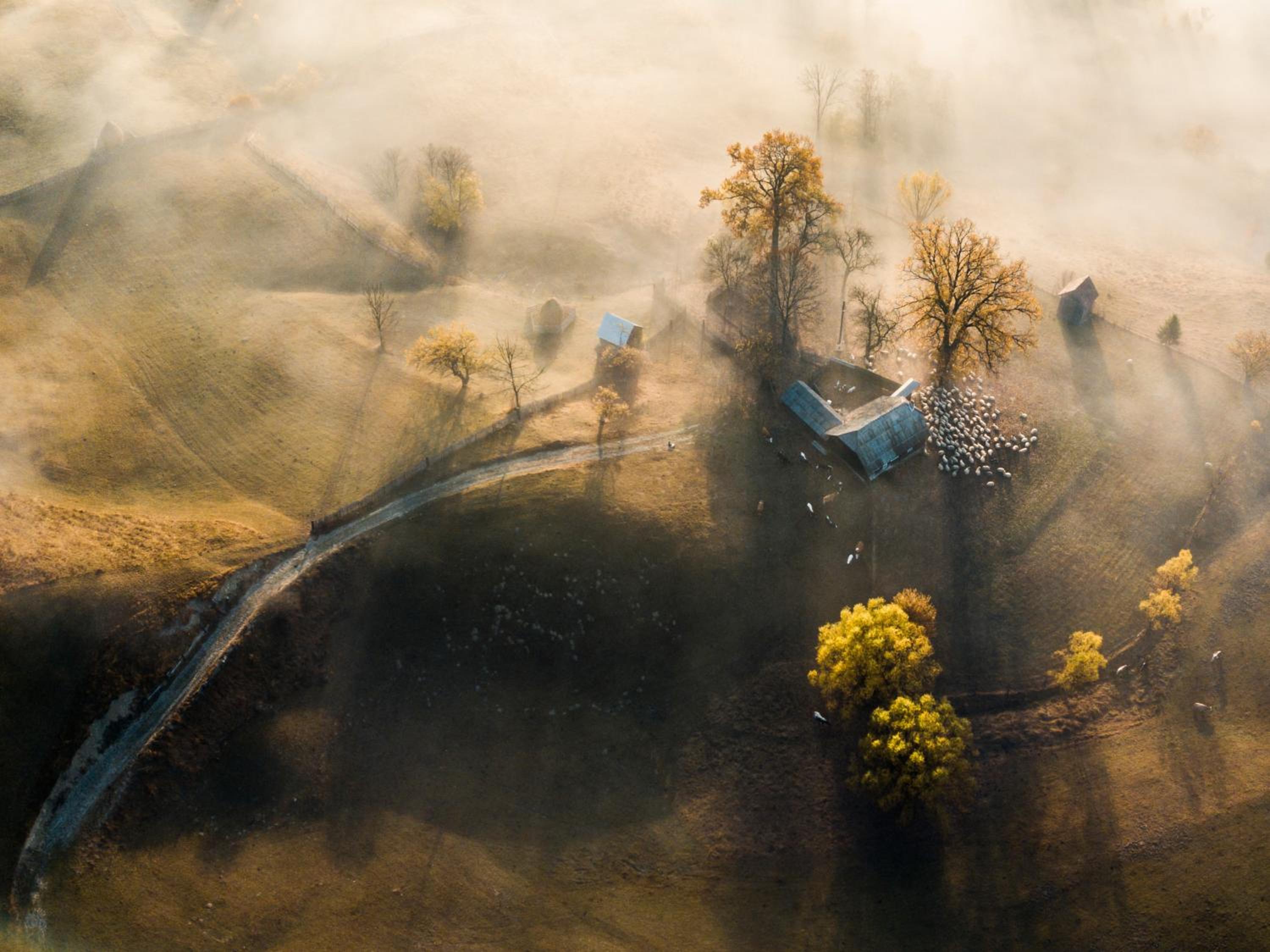 Bucovina Exclusiv