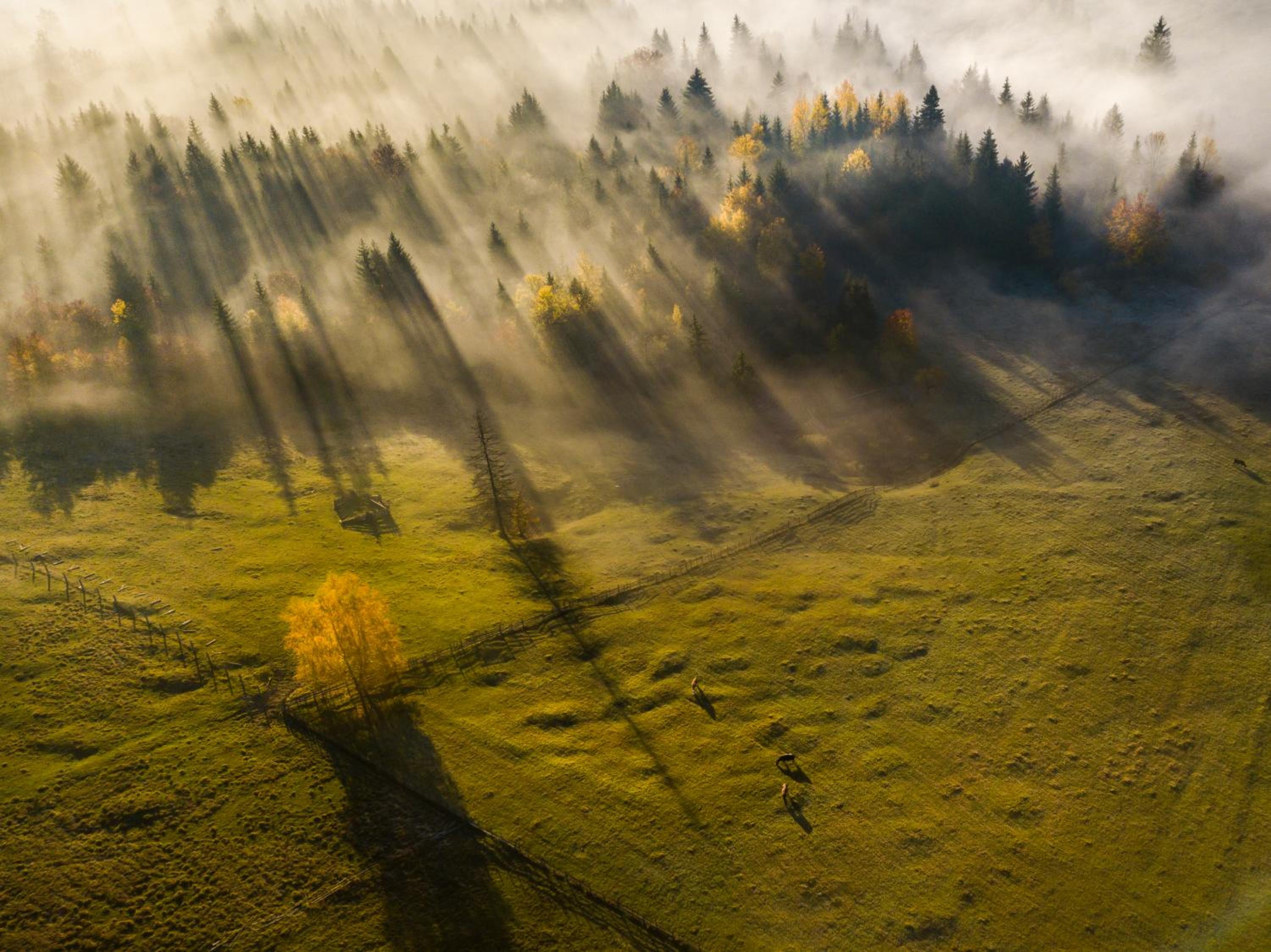 Bucovina Exclusiv