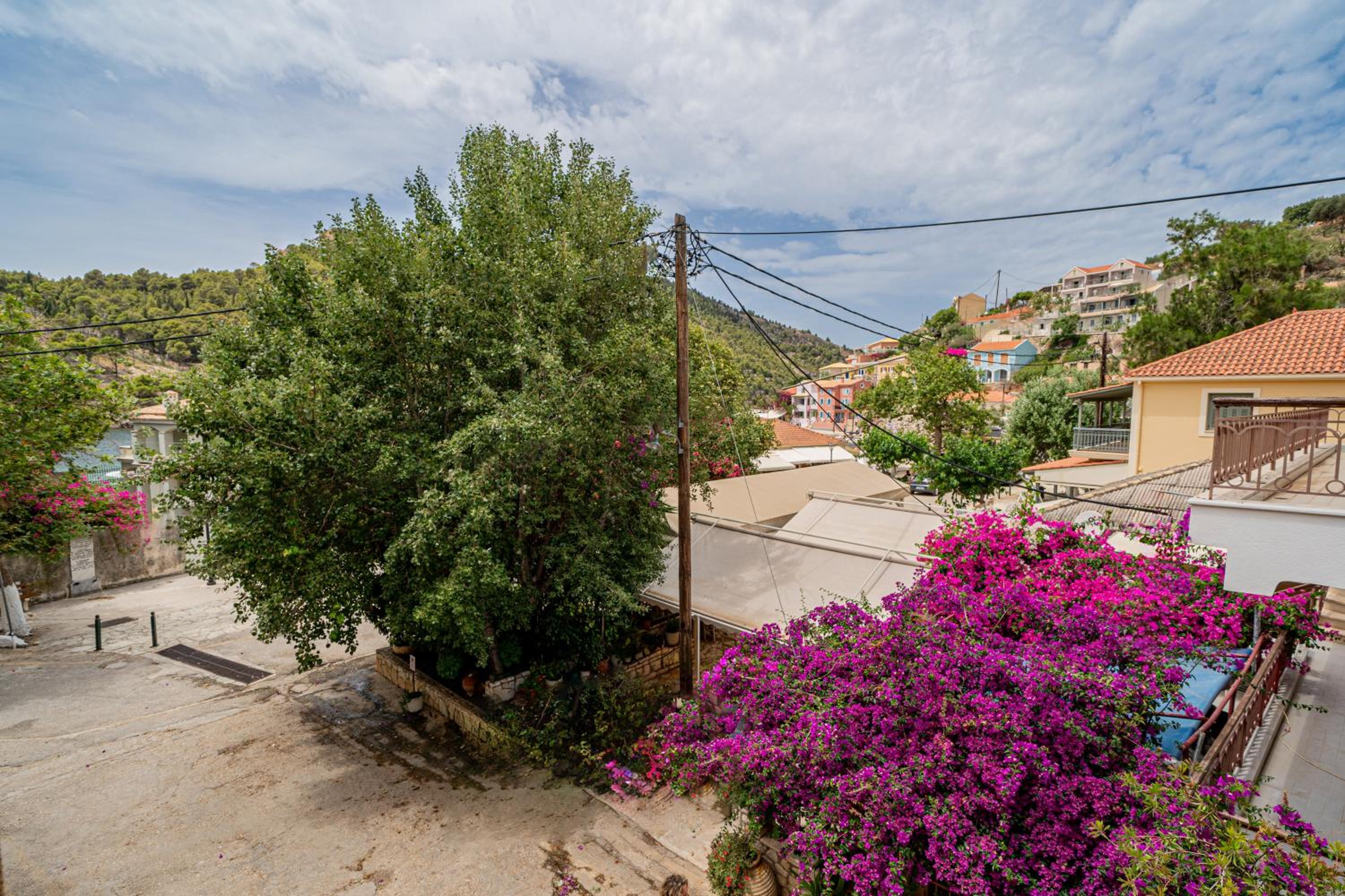 Sogna Assos Kefalonia