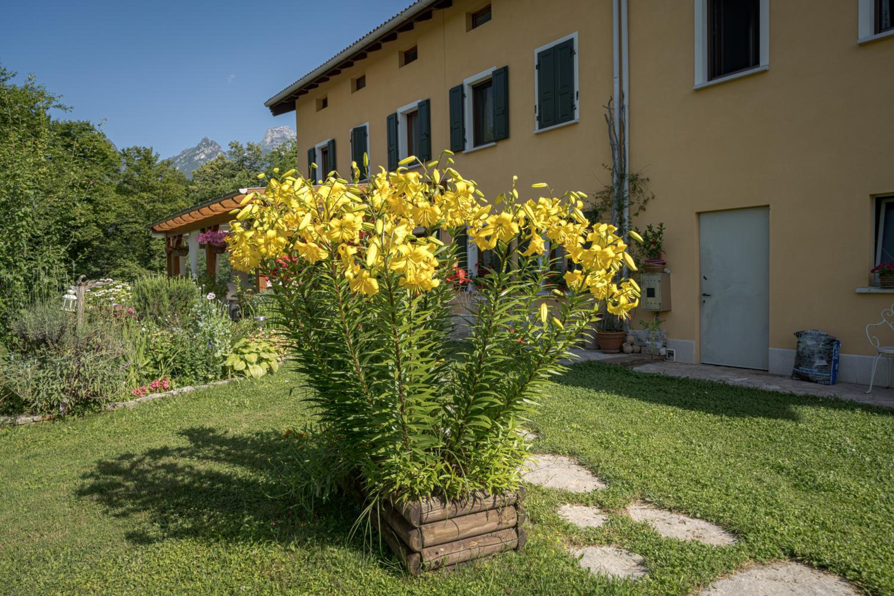 Photo 25