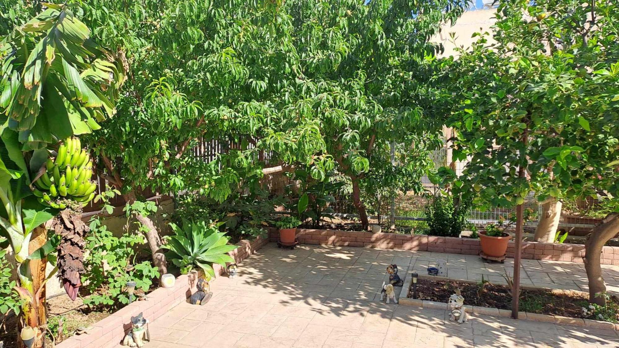 Darya beach house