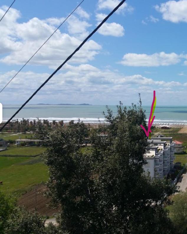 Aurora Apartment in Lalzi Bay photo 4