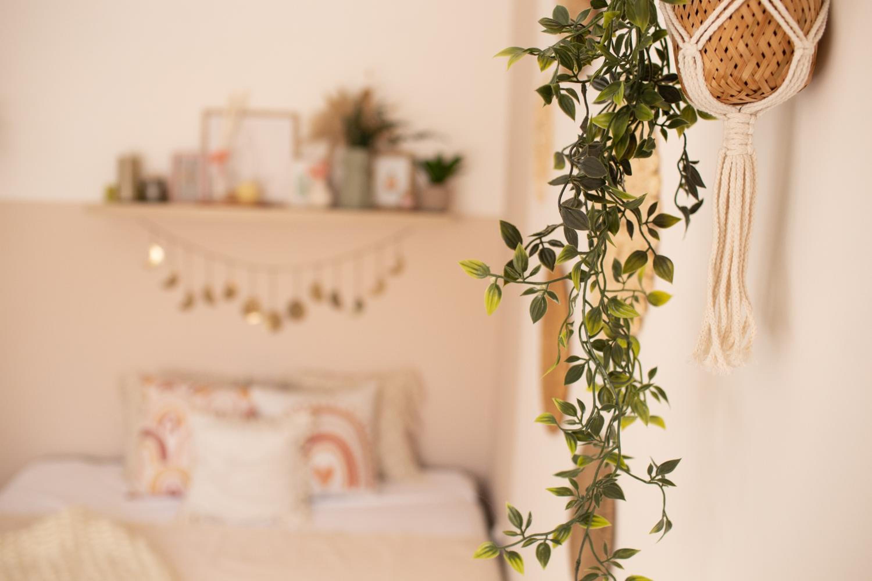 Photo 57