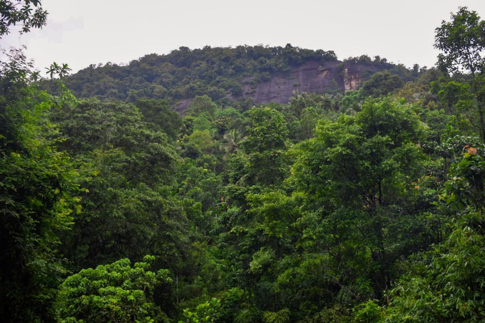 Polatagama Jungle Eco Resort