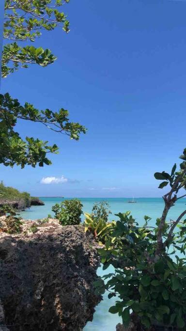 Amani - Private Ocean House with Pool view 4
