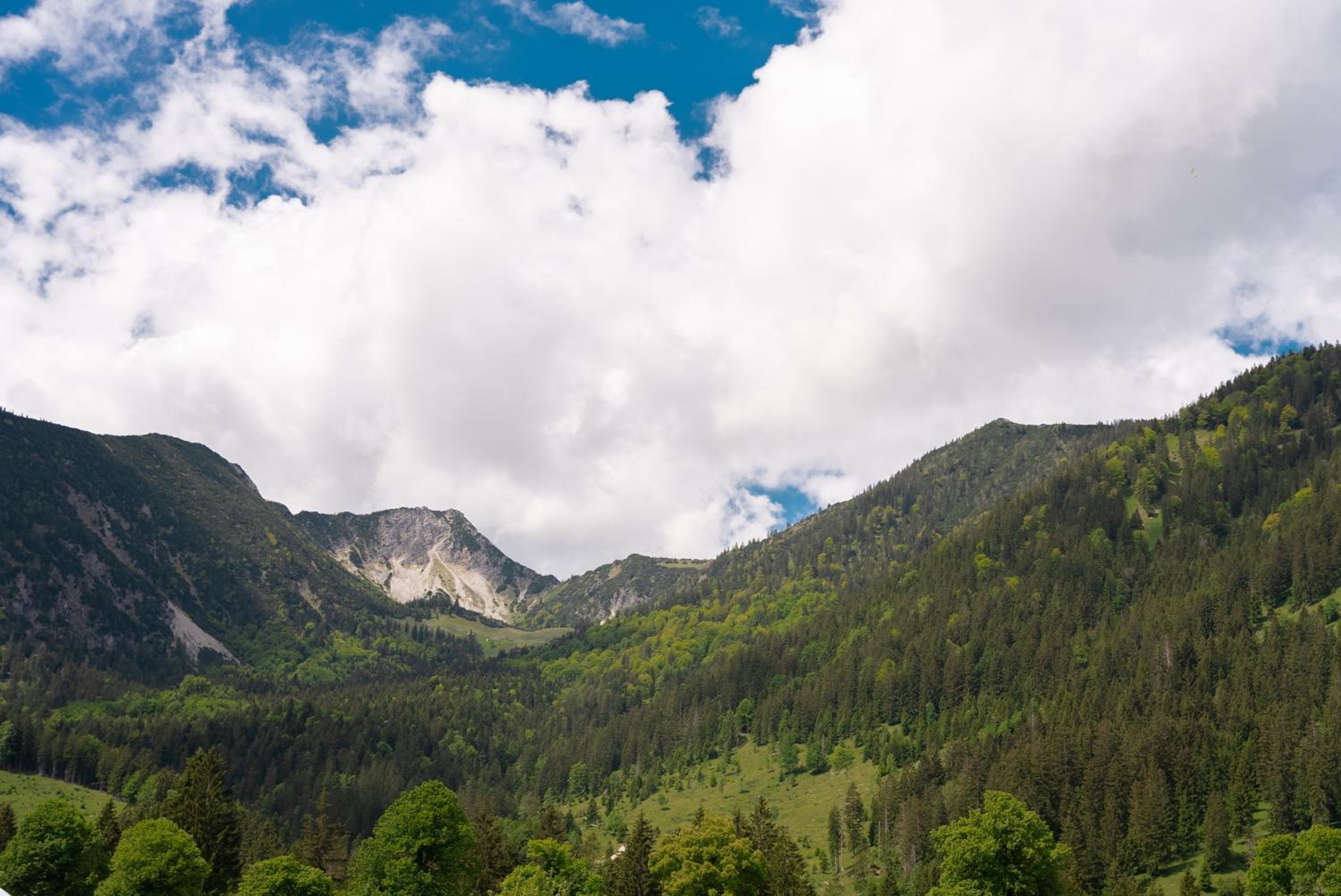 Bergblick Chalet