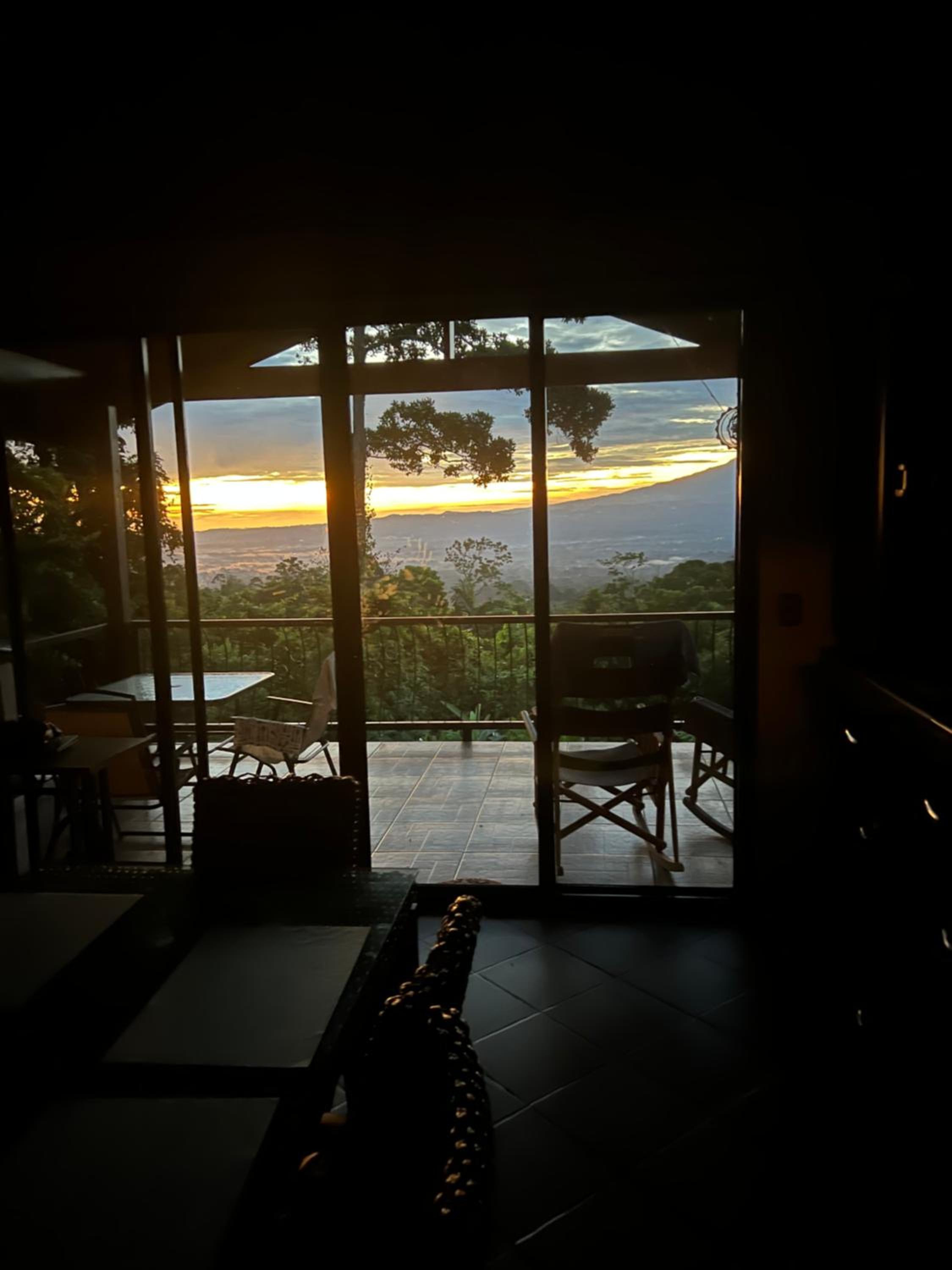 Bromelia House