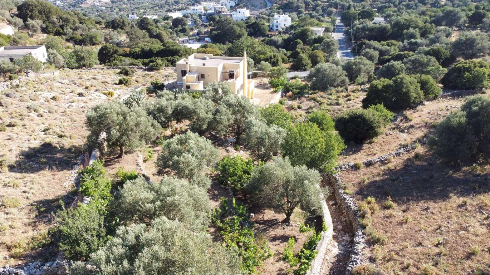 Oak & Olive Filoti Village, Naxos island center view 4