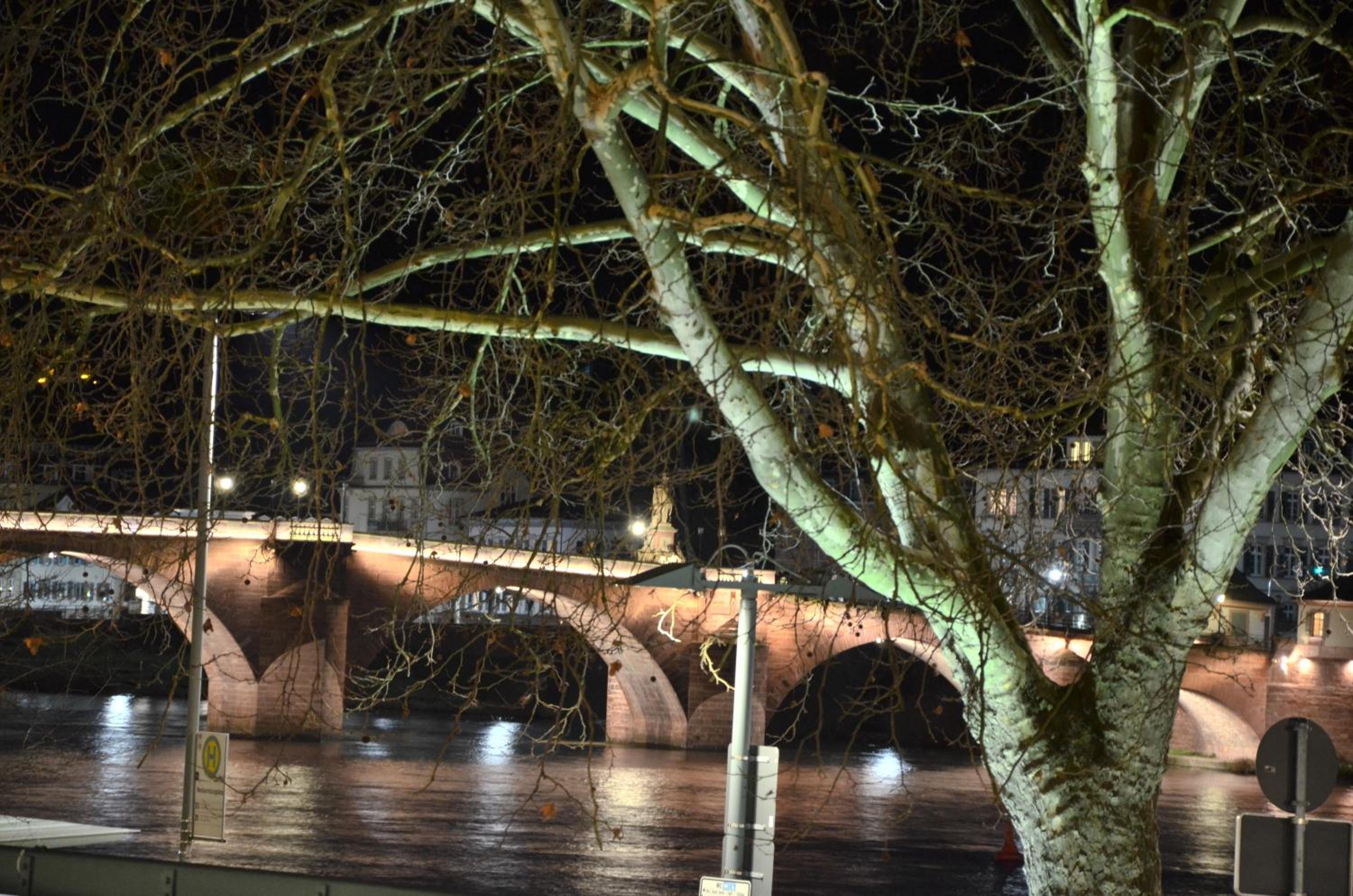 Ferienwohnungen Neckarblick - Heidelberg Altstadt