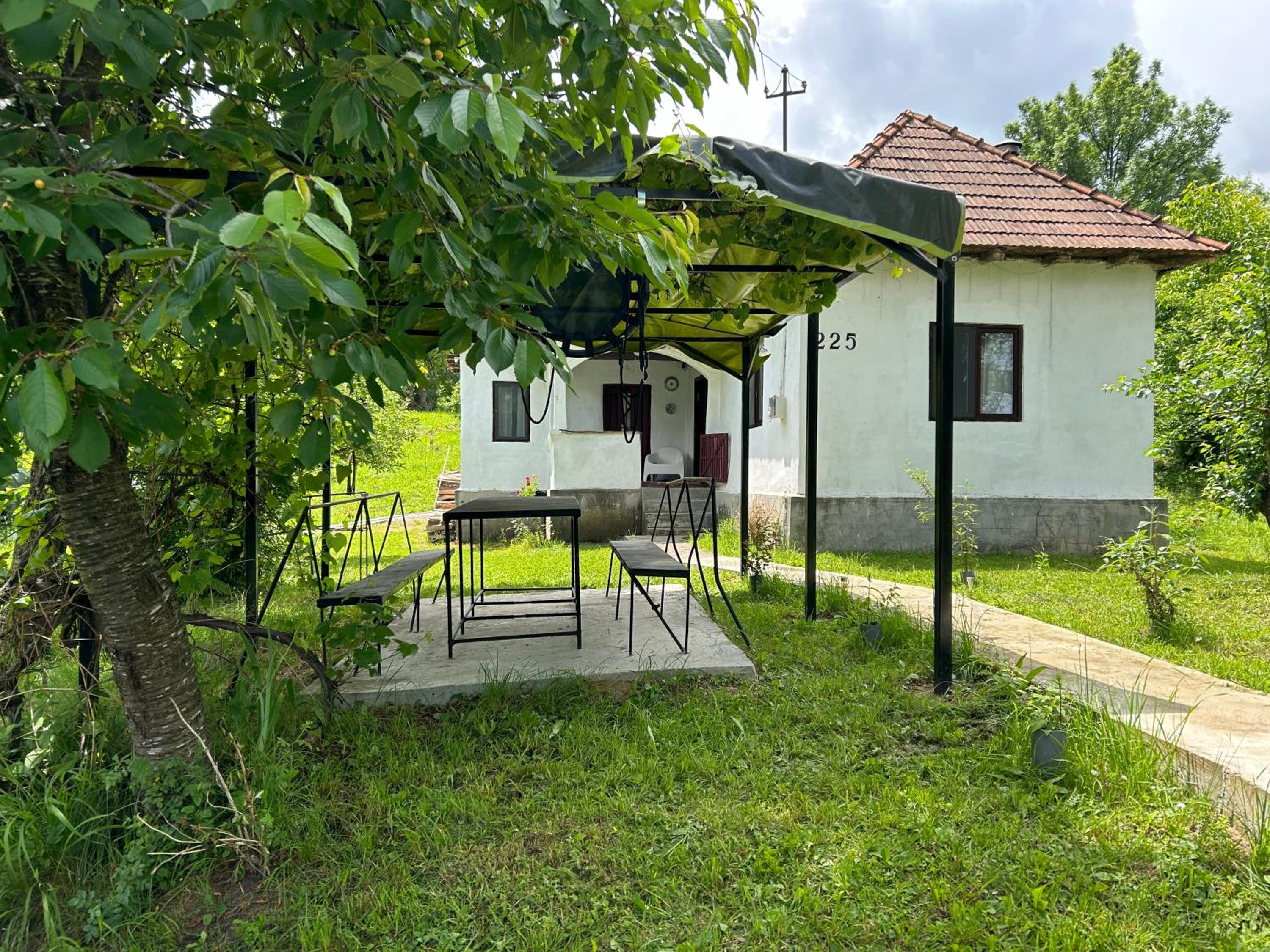 Pridvorul lui Viorel view 5