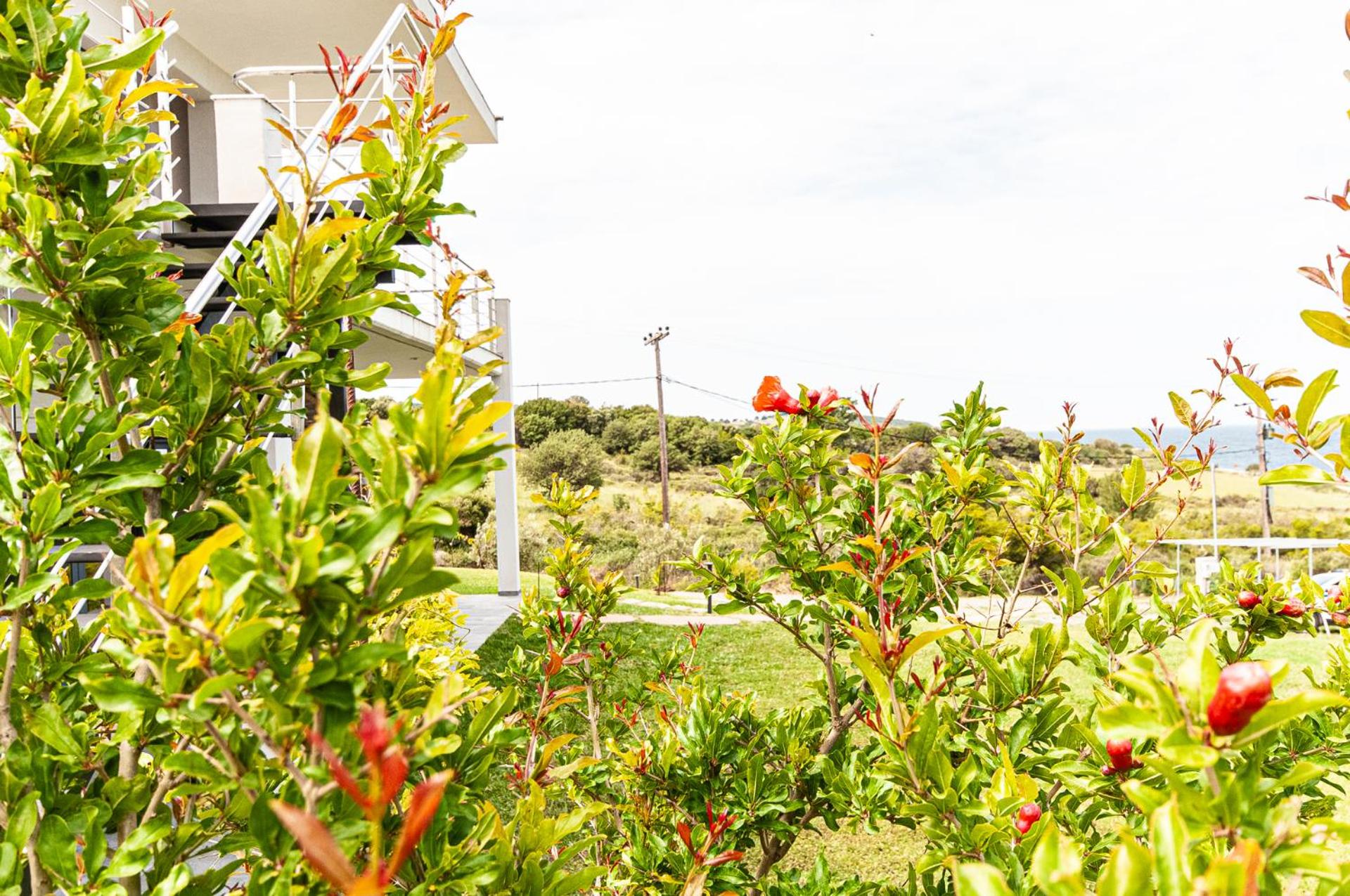 Boutique apartments Myesis