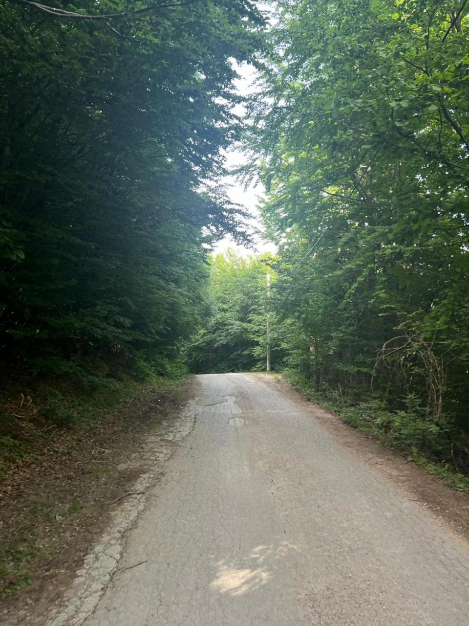 Ljetna bašta 