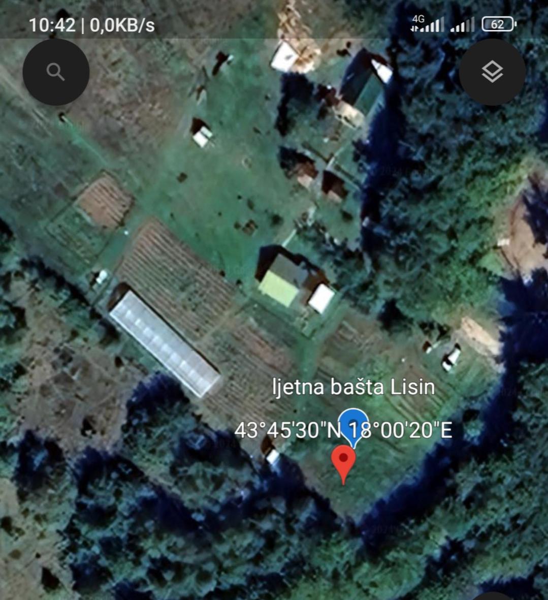 Ljetna bašta 