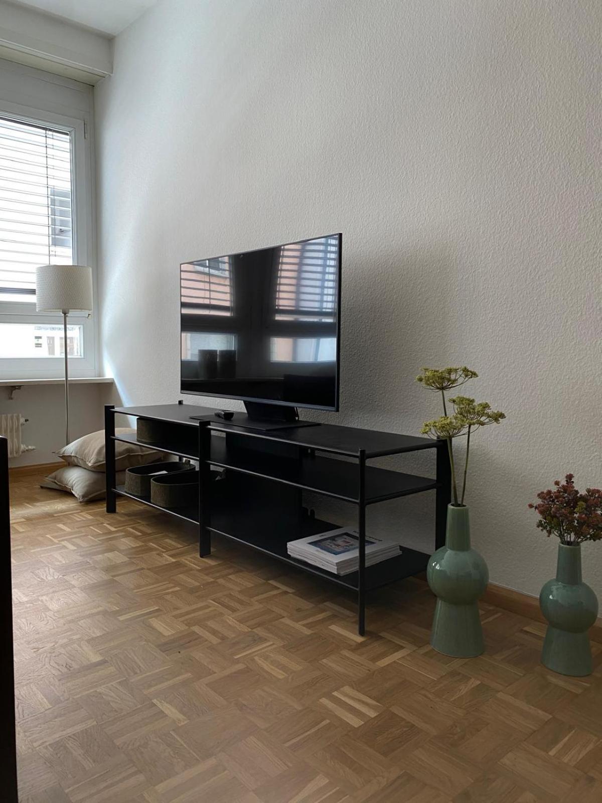 Gemütliche grosse Wohnung Nähe Uni