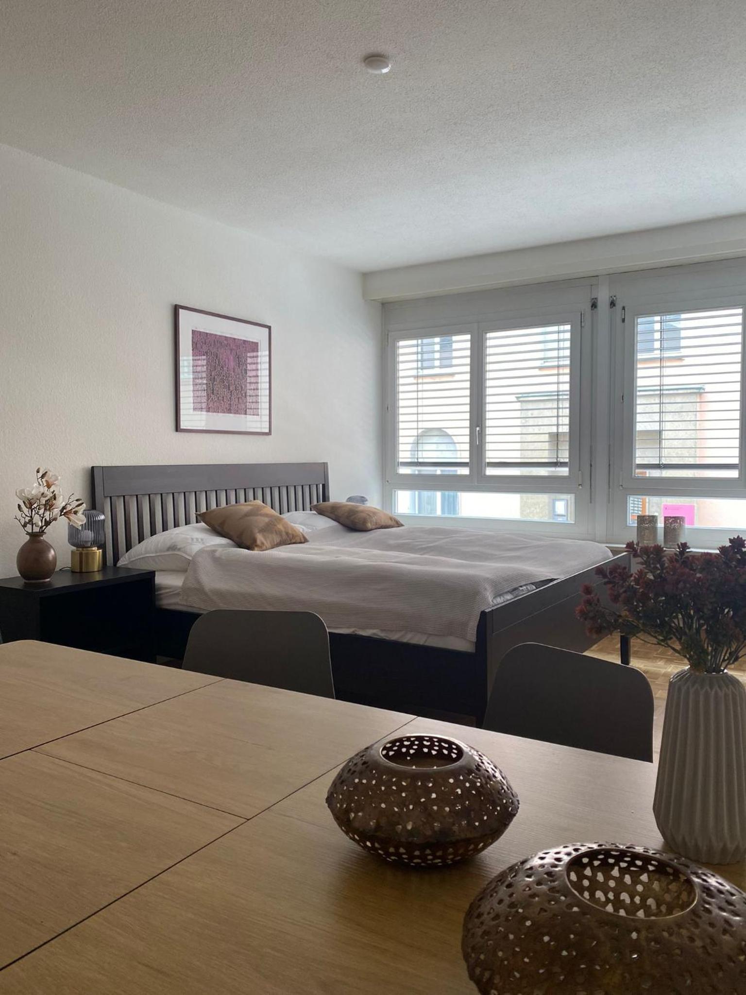Gemütliche grosse Wohnung Nähe Uni