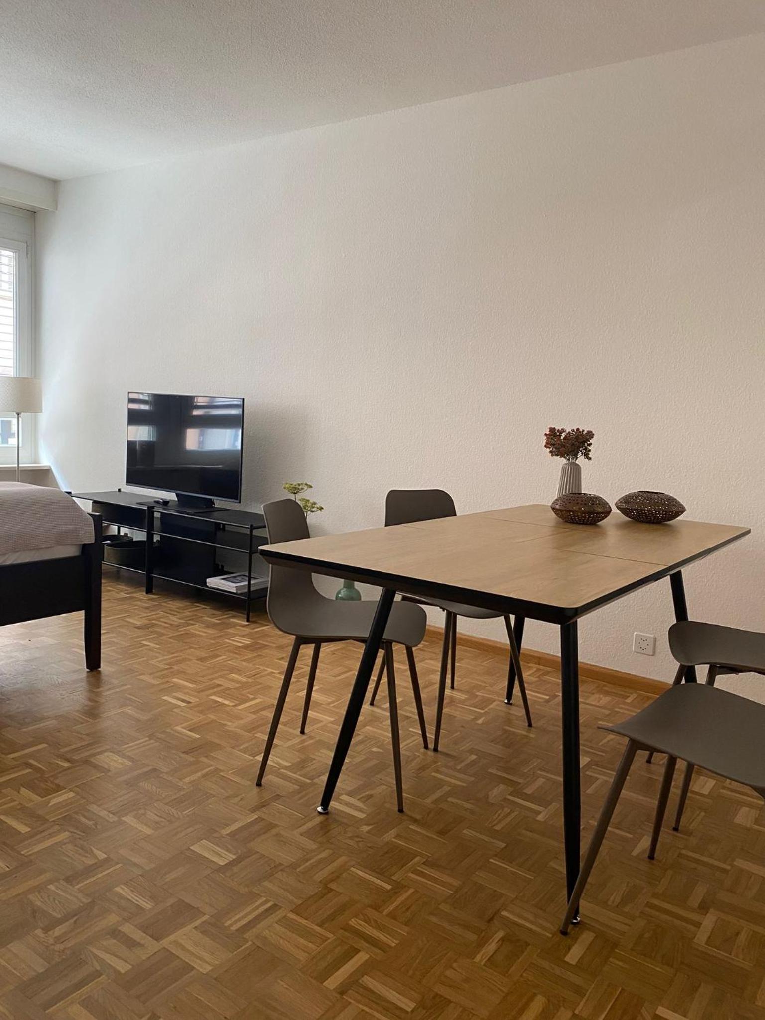 Gemütliche grosse Wohnung Nähe Uni
