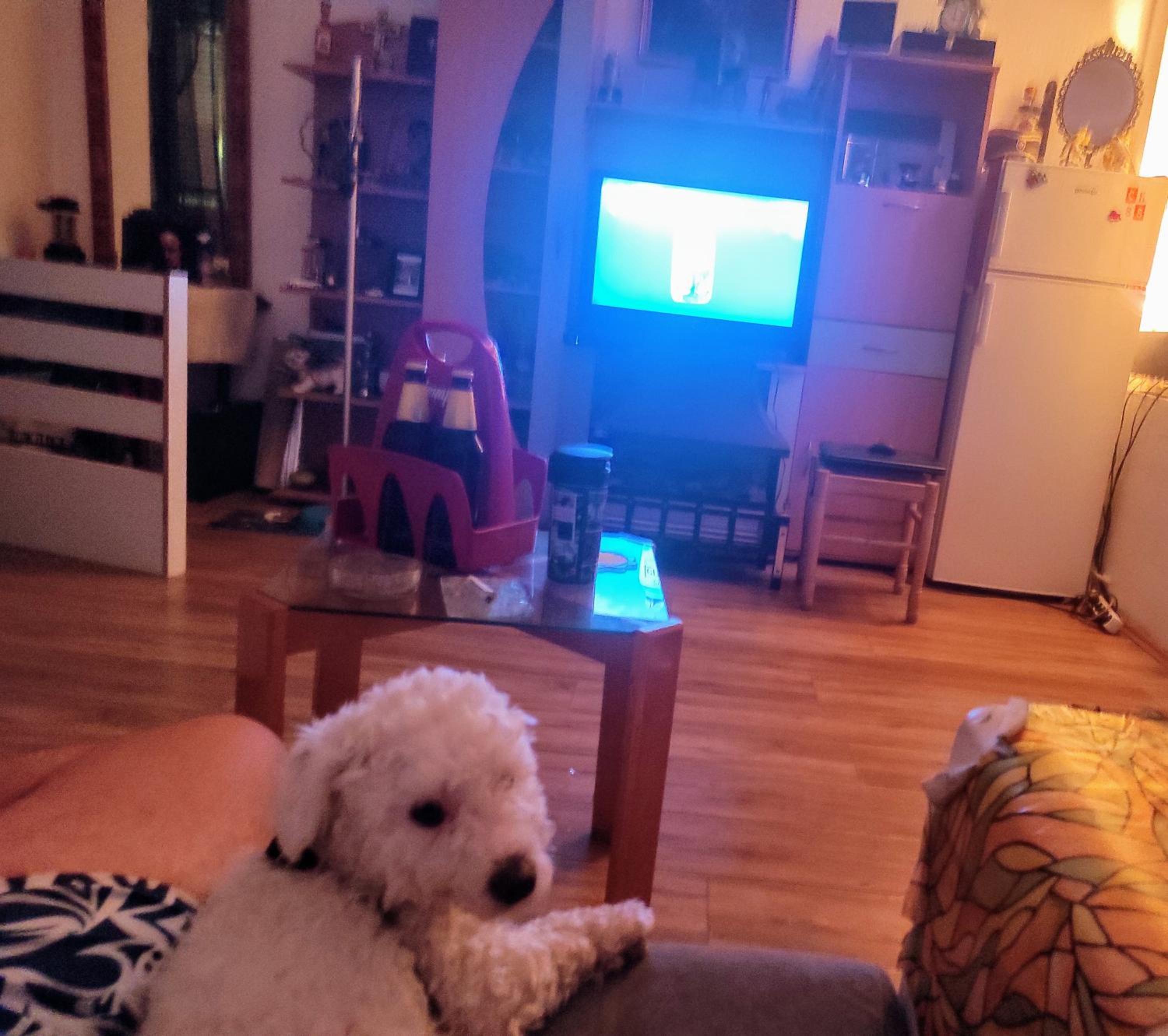 human