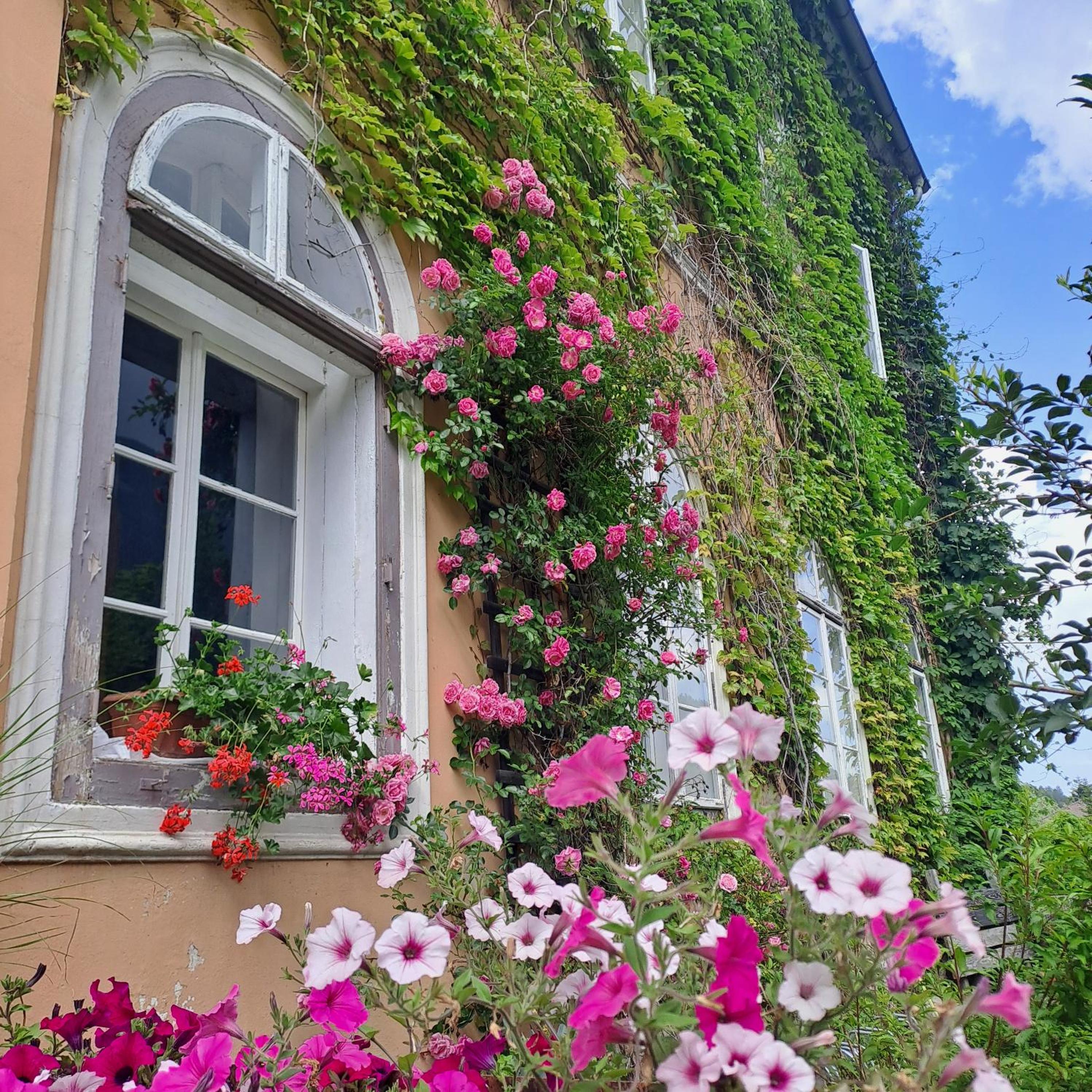 Apartments in Villa Crusca