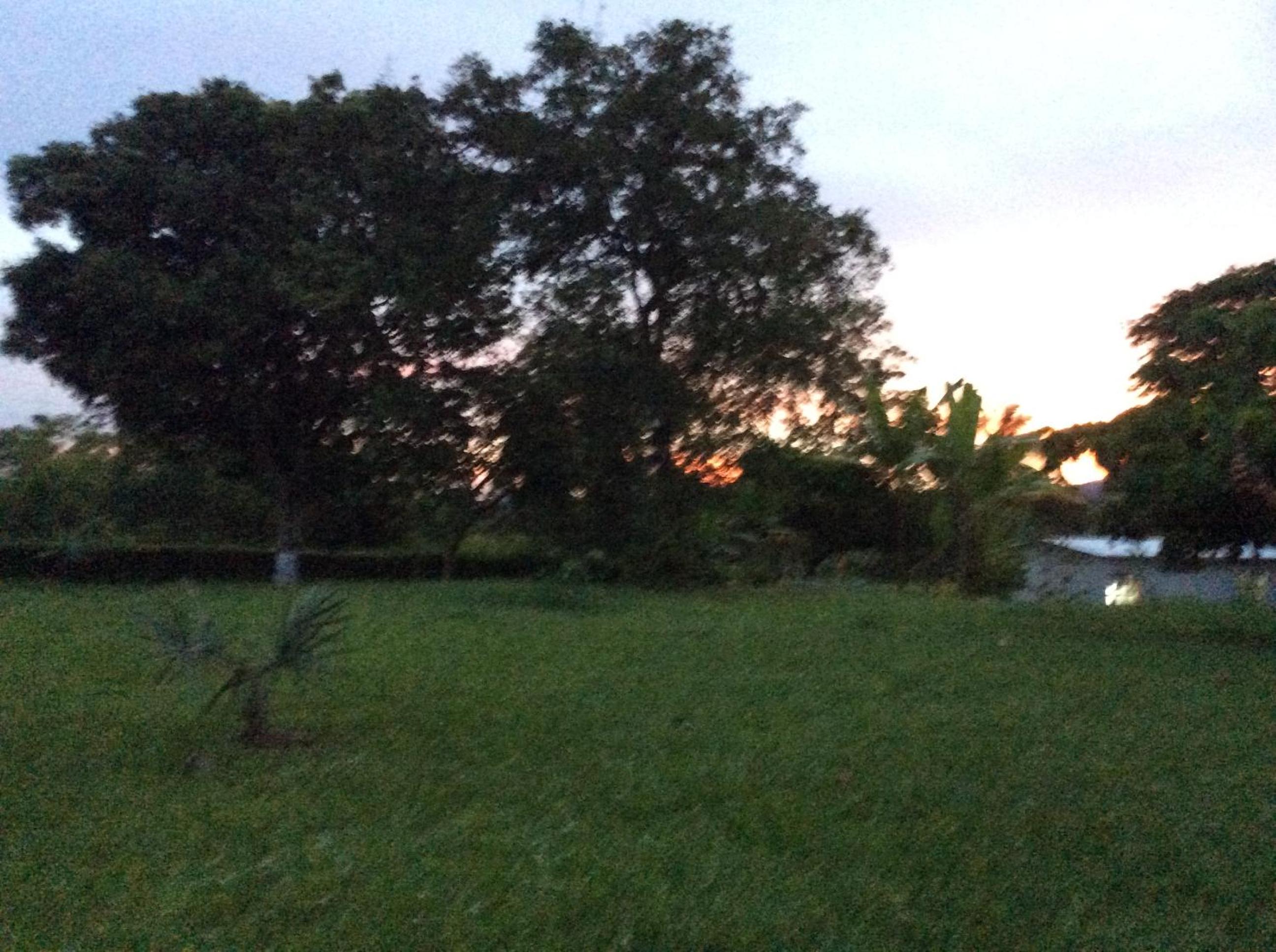 Finca JOMA