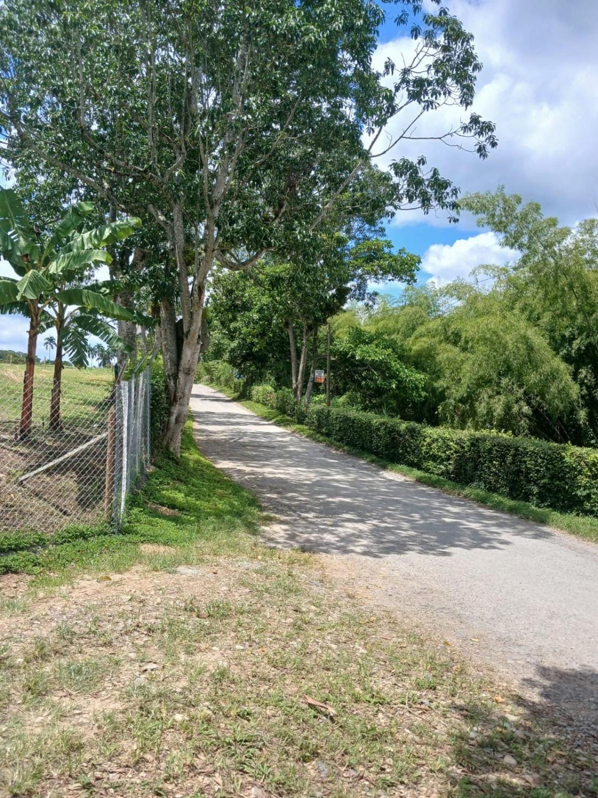 Finca JOMA