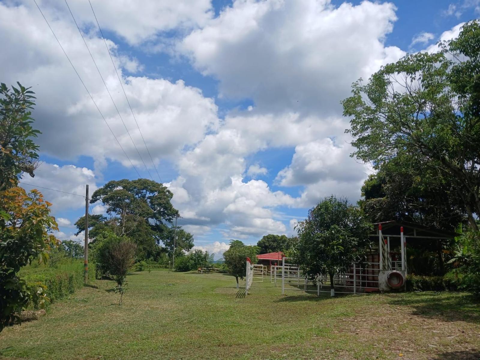 Finca JOMA