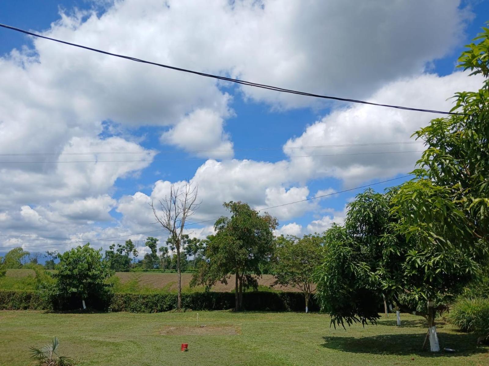Finca JOMA