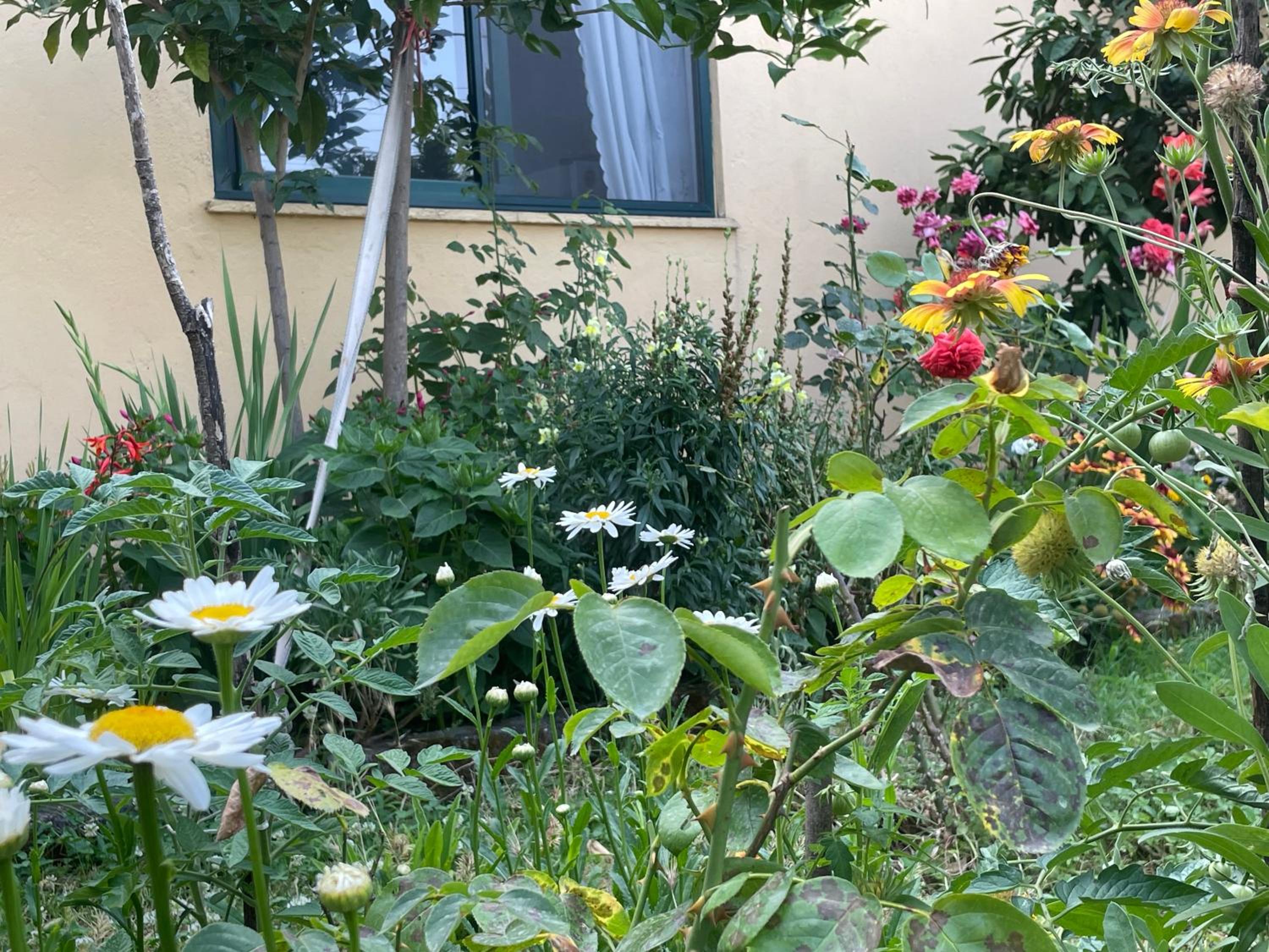 Hysa Guest House
