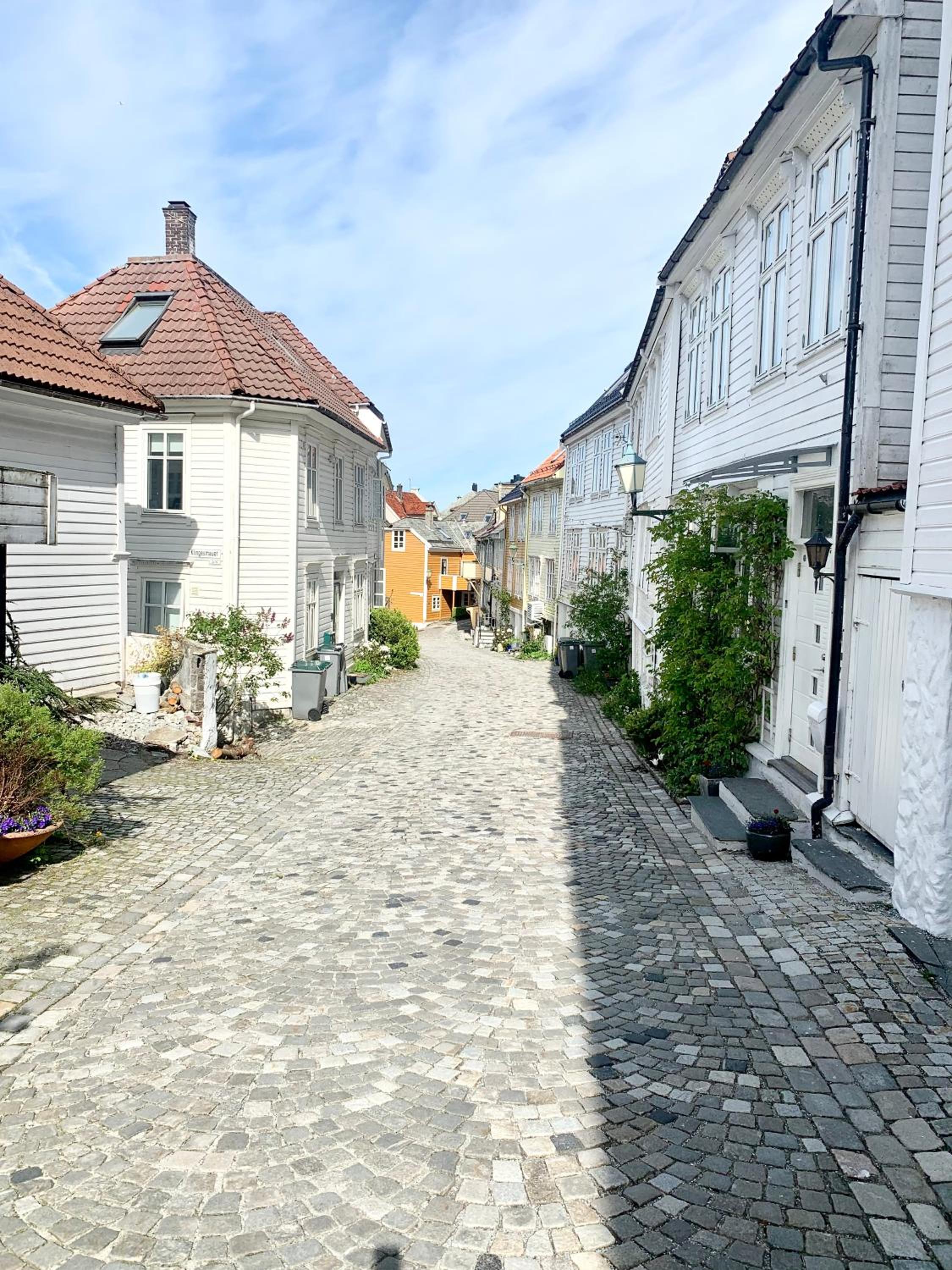 Nedre Stølen Apartment Bergen view 4