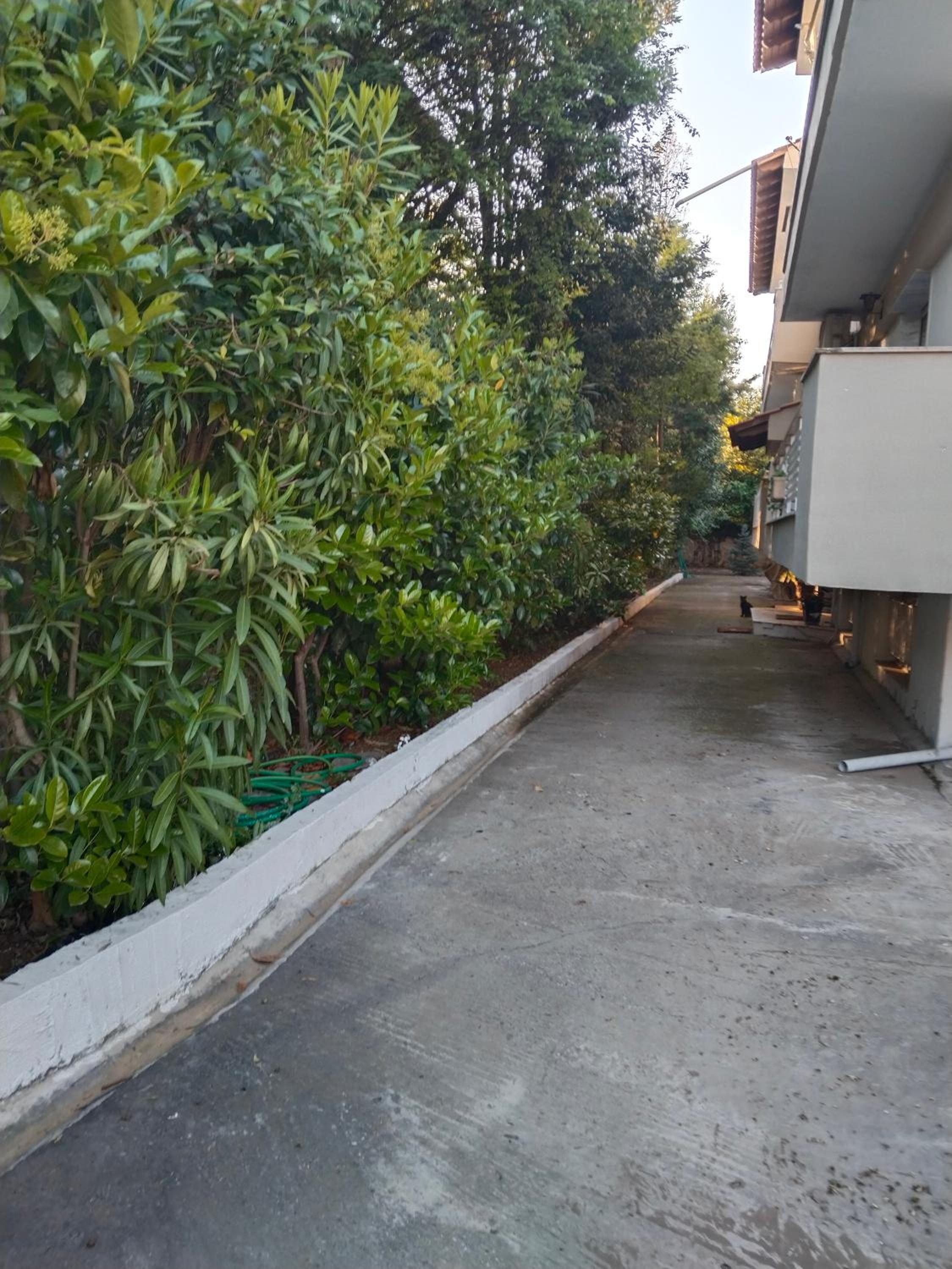 Olga's Studios Apartment3 view 3