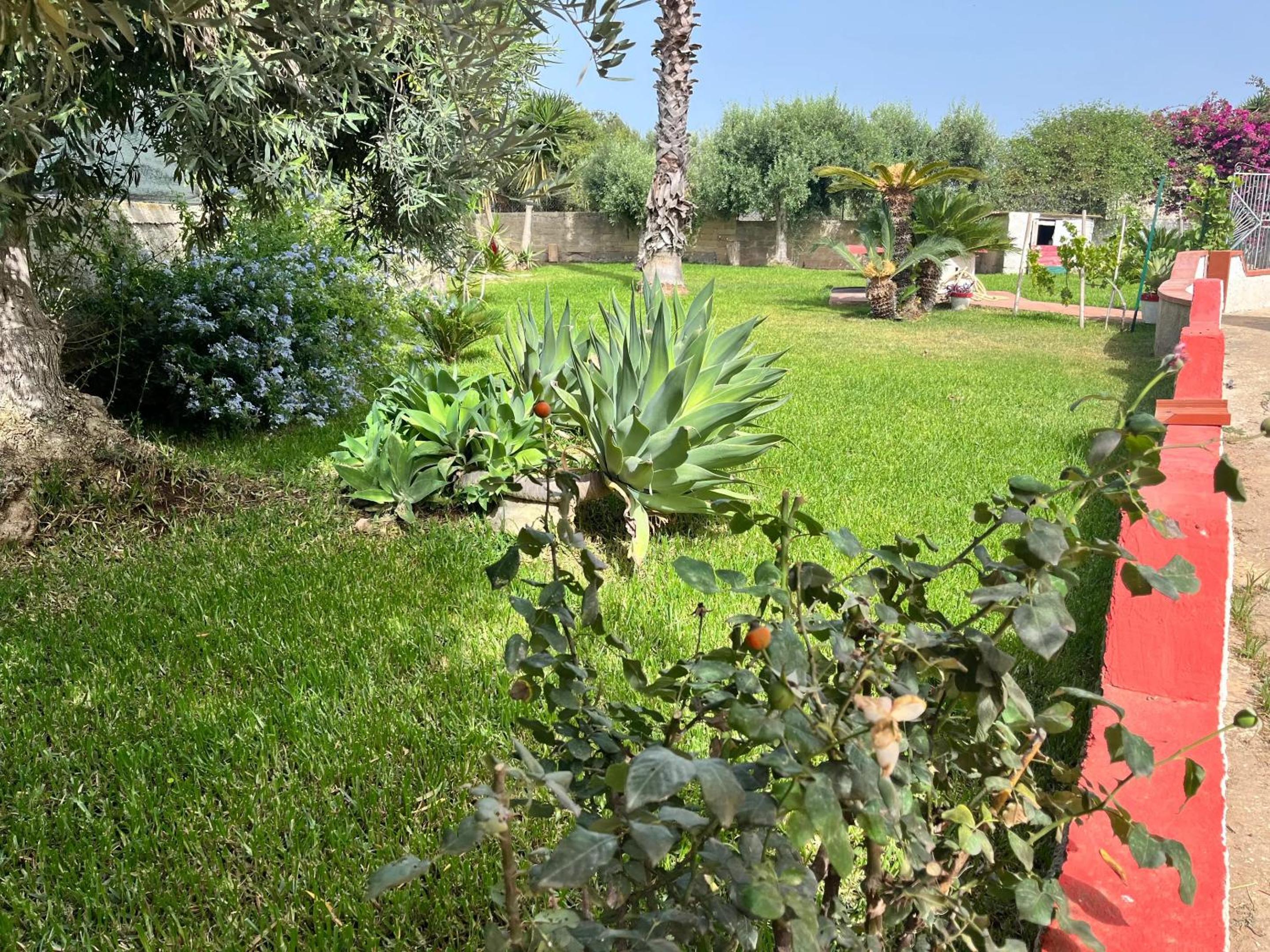 Photo 41