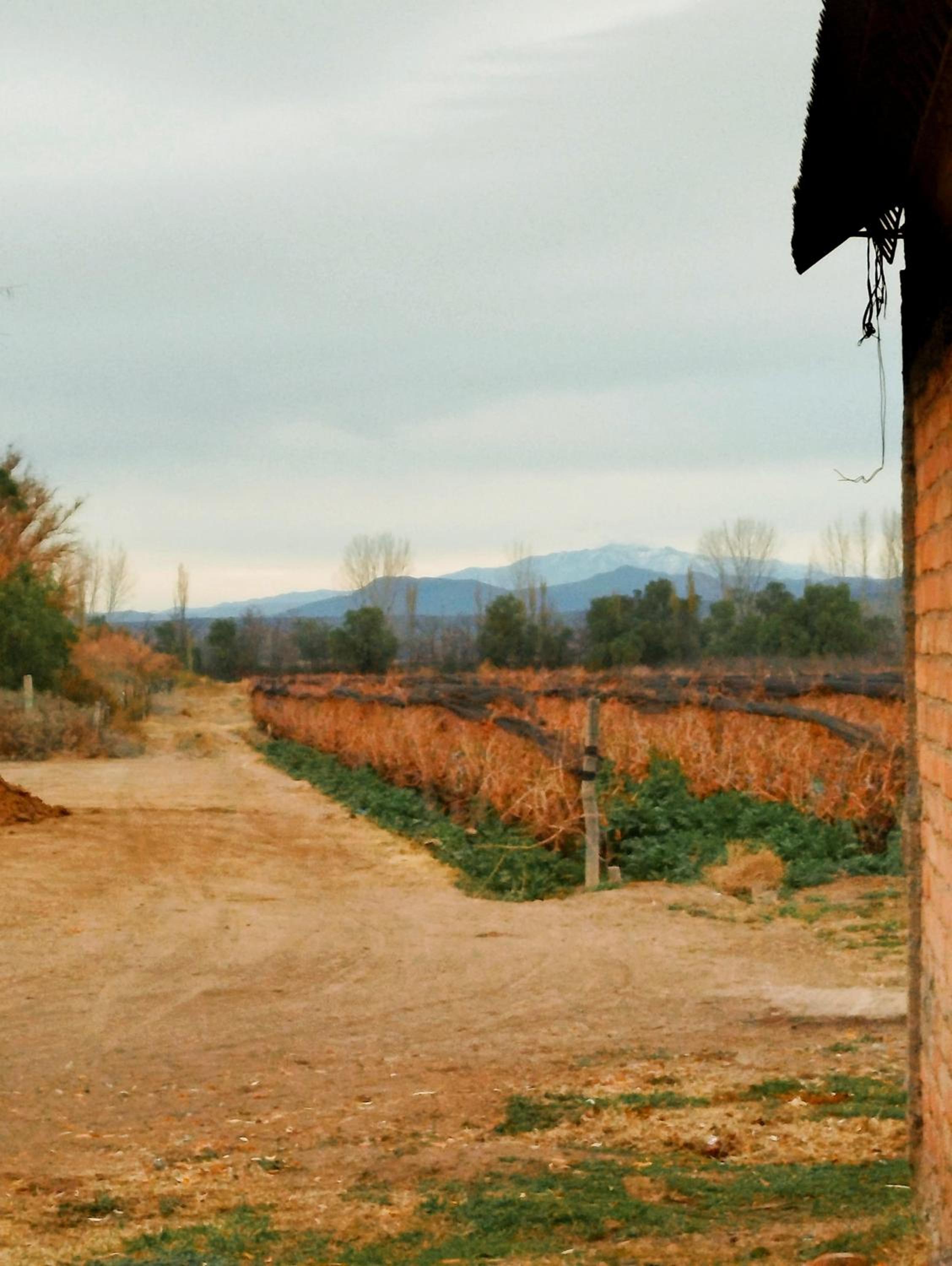 Cabaña Mirador de los Viñedos