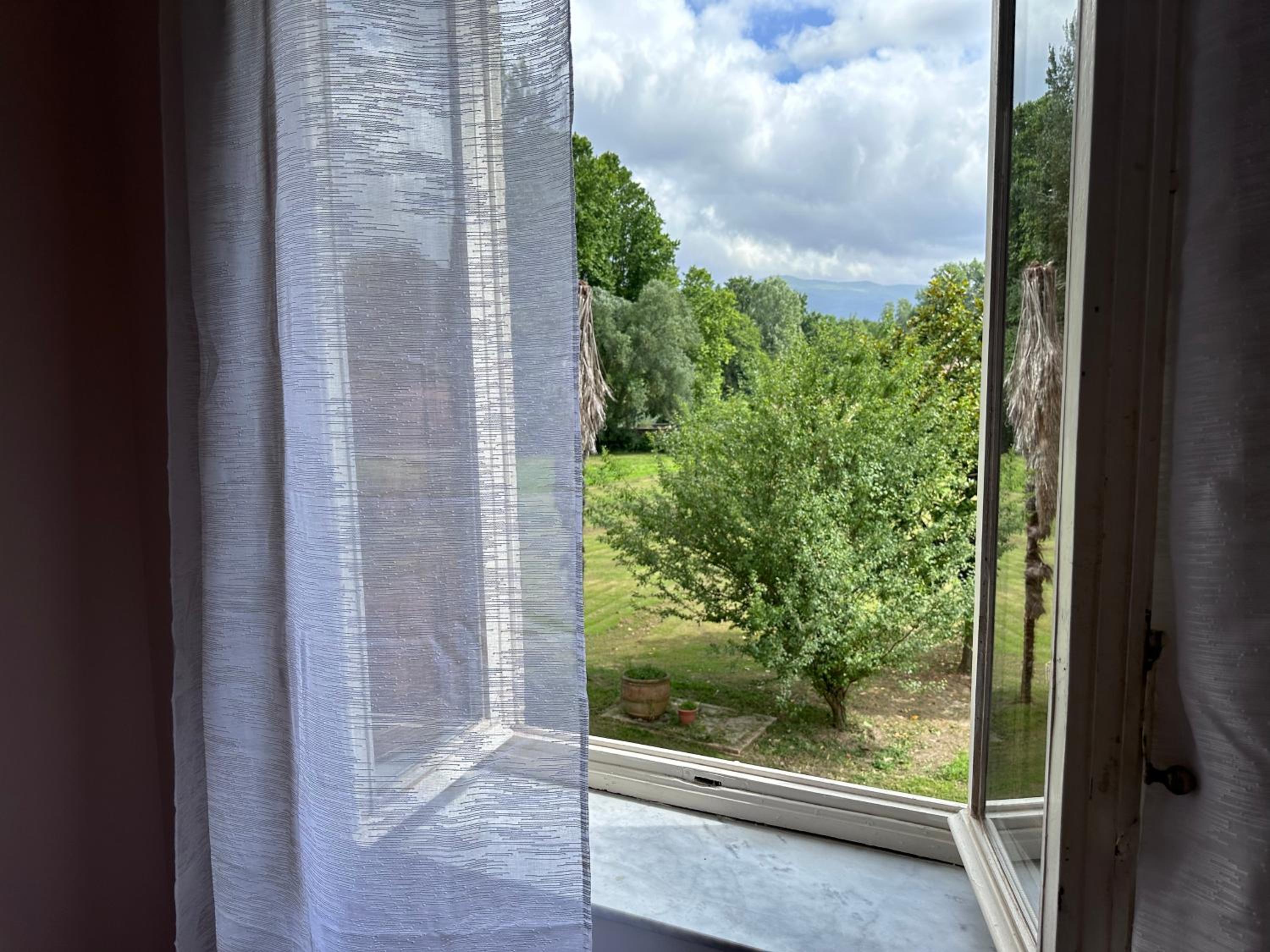 Paradiso verde