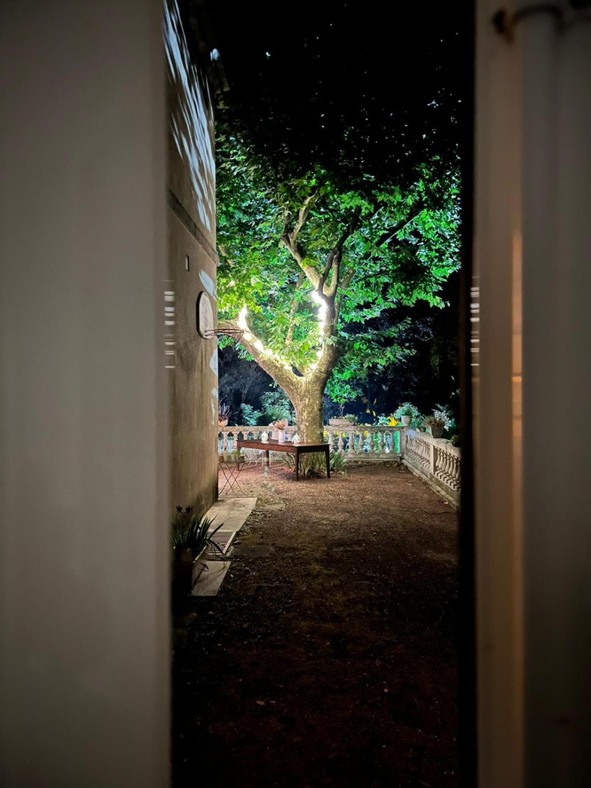 La Villa de Lise, photo 34
