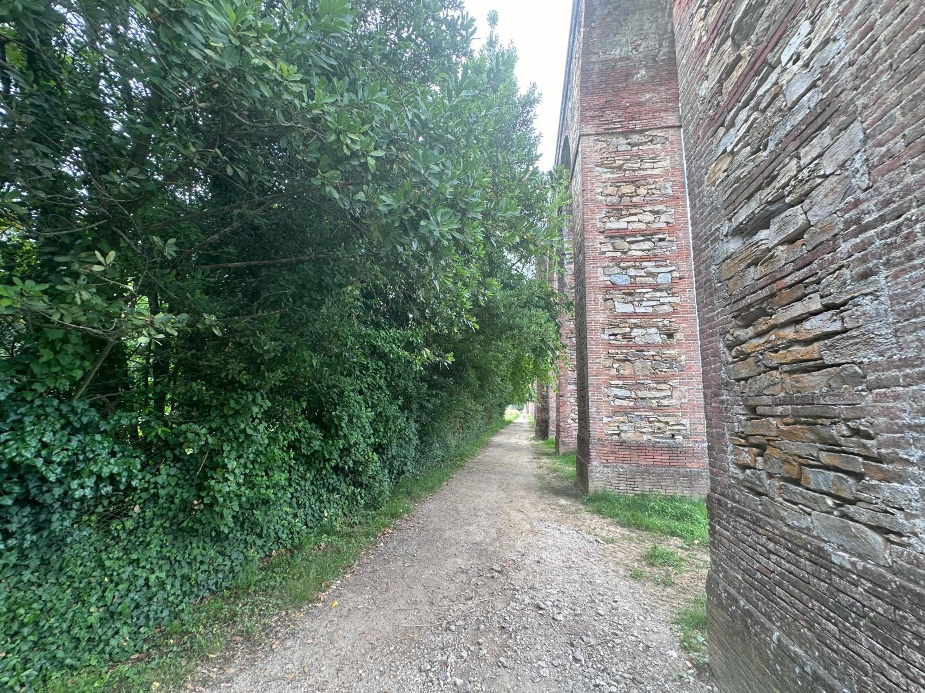 Paradiso verde
