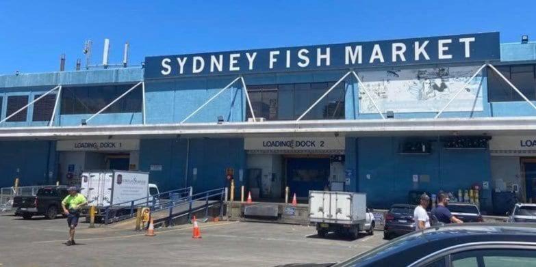 Oasis Fish Market 4BR House&DarlingHarbour& ICC-8 mins