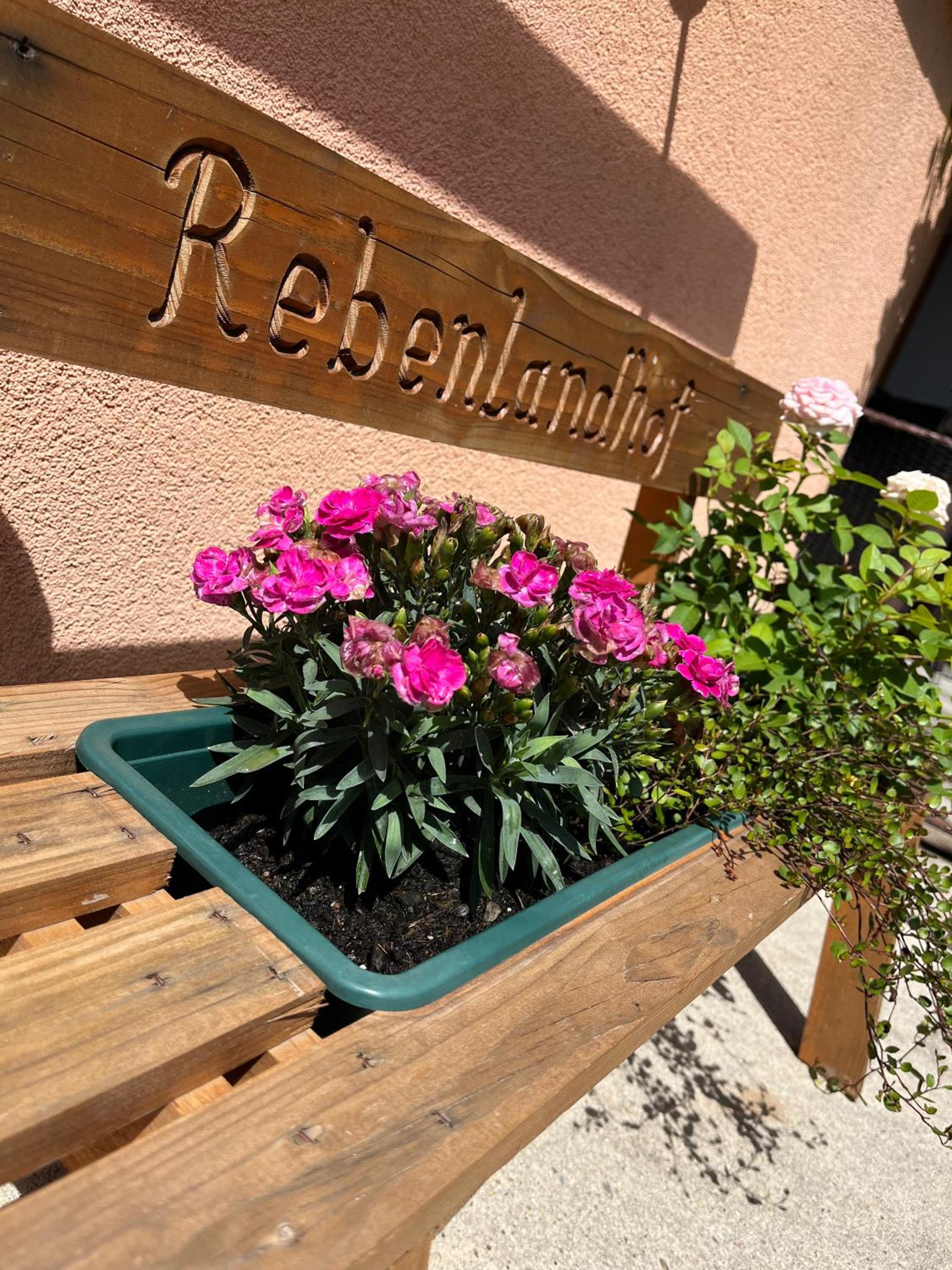 Rebenlandhof