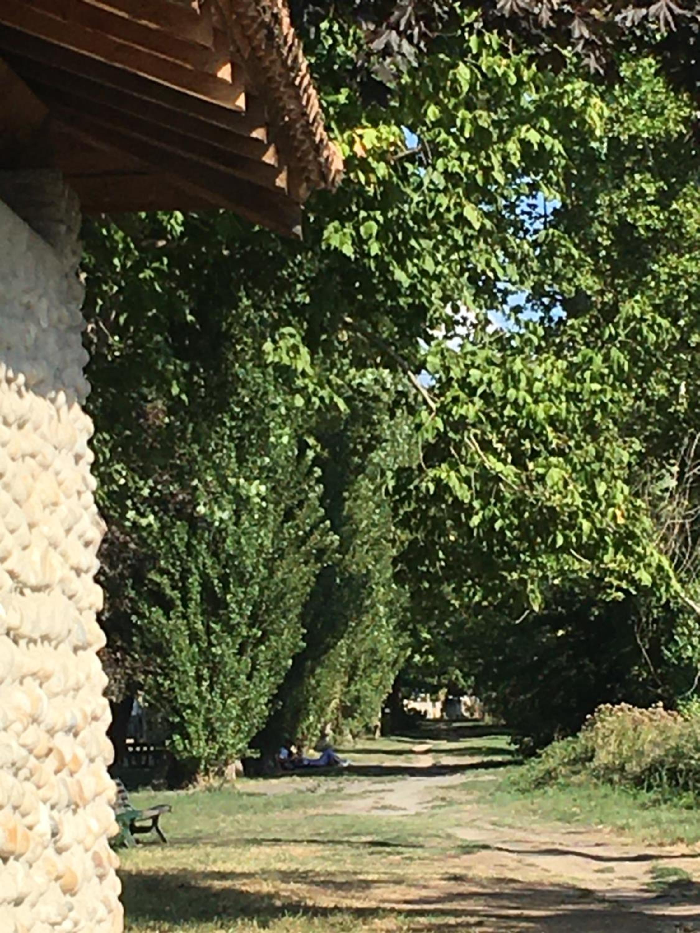 La Villa de Lise, photo 16