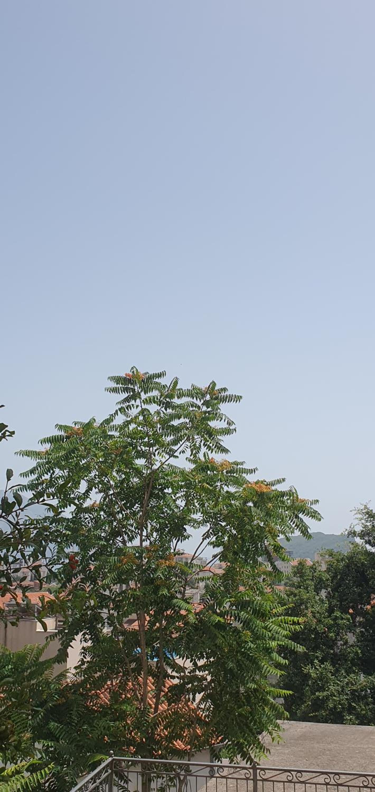 Apartman Kiro view 3
