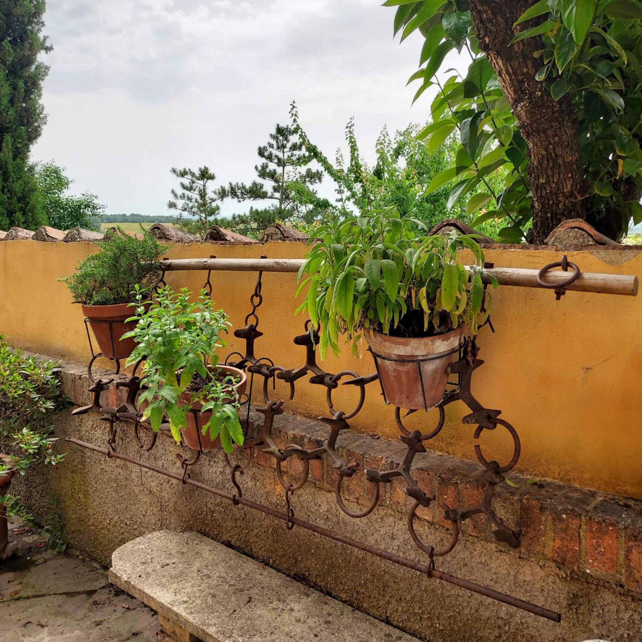 Agriturismo Il Colle