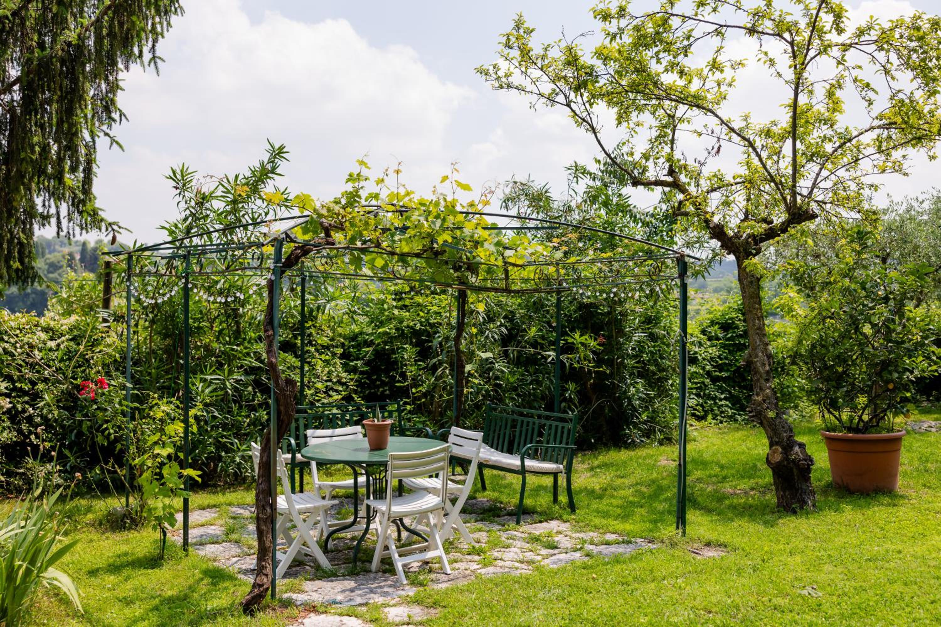 Bubamara - Bed and Breakfast view 5